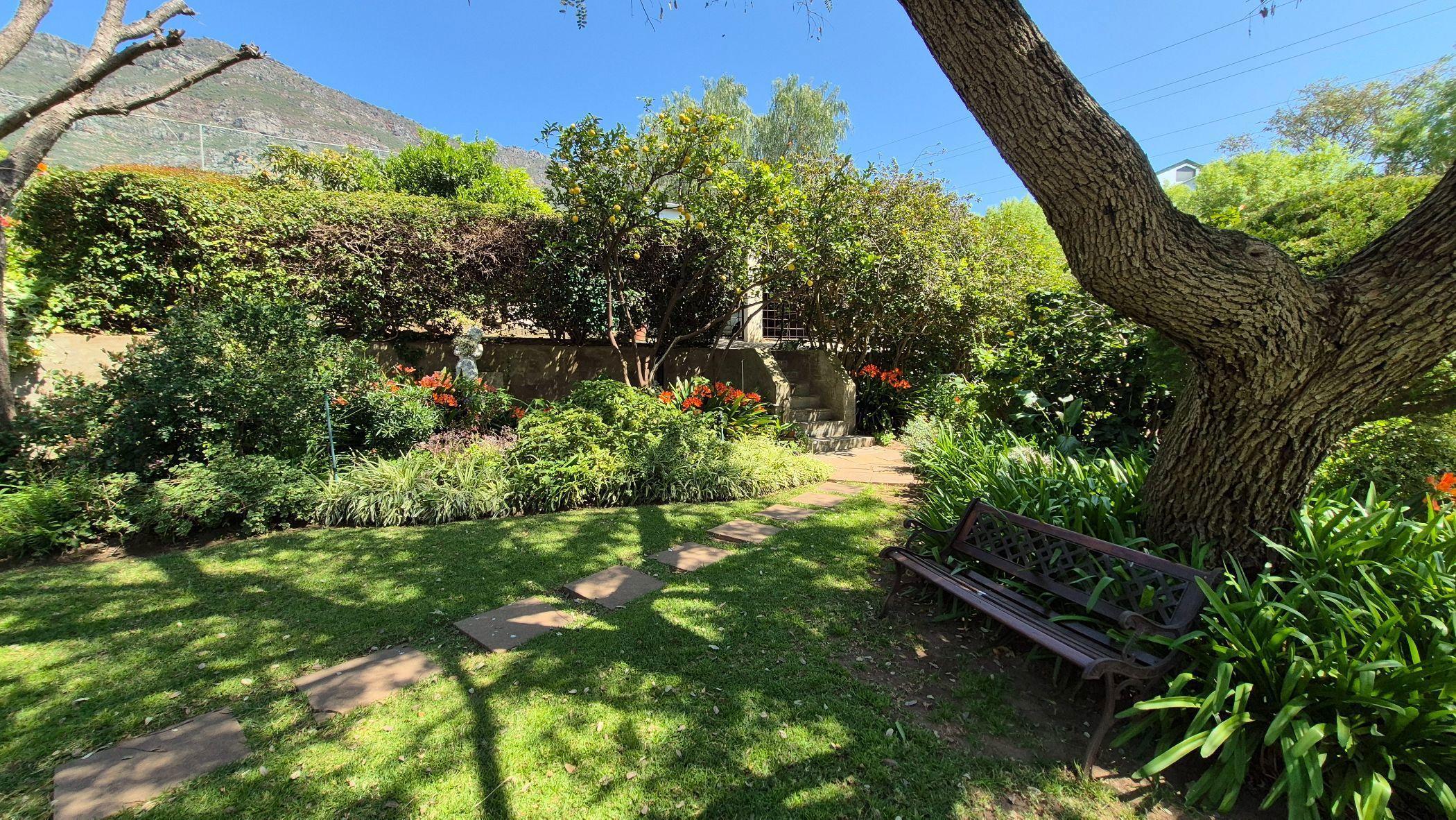 Image 25