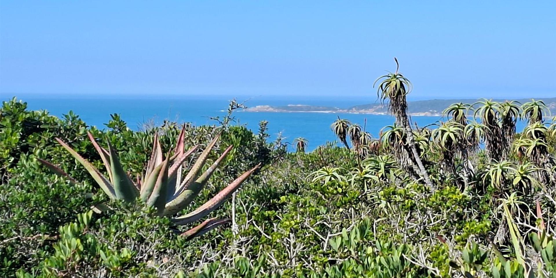 Image 2 of 6