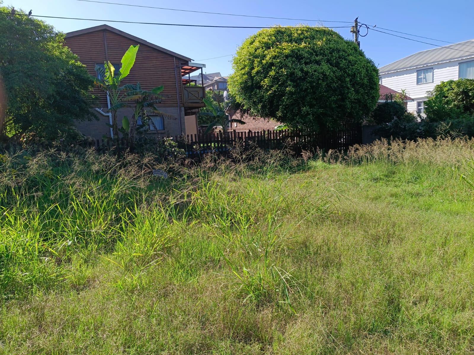 Image 8