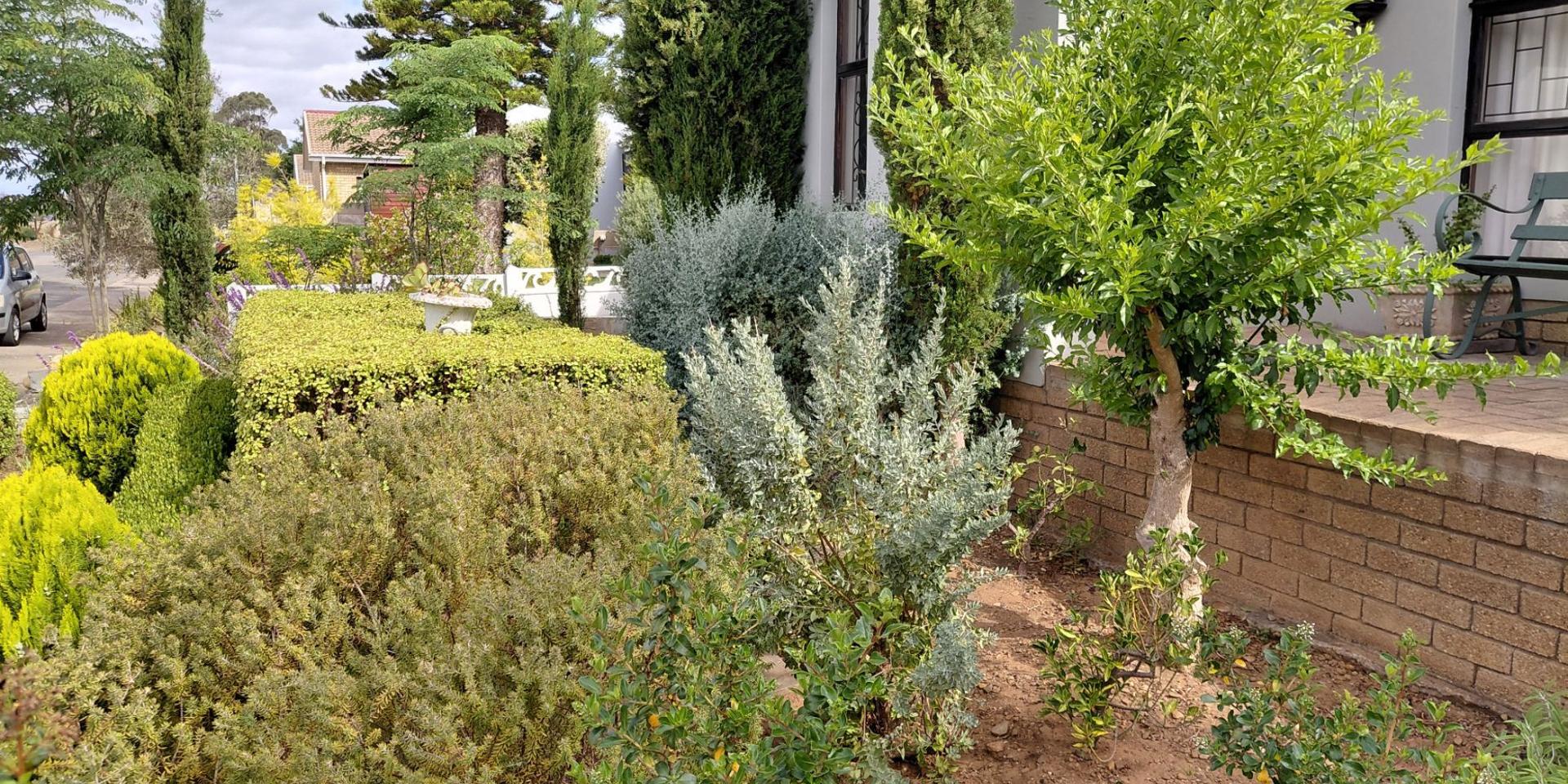 Image 3 of 6