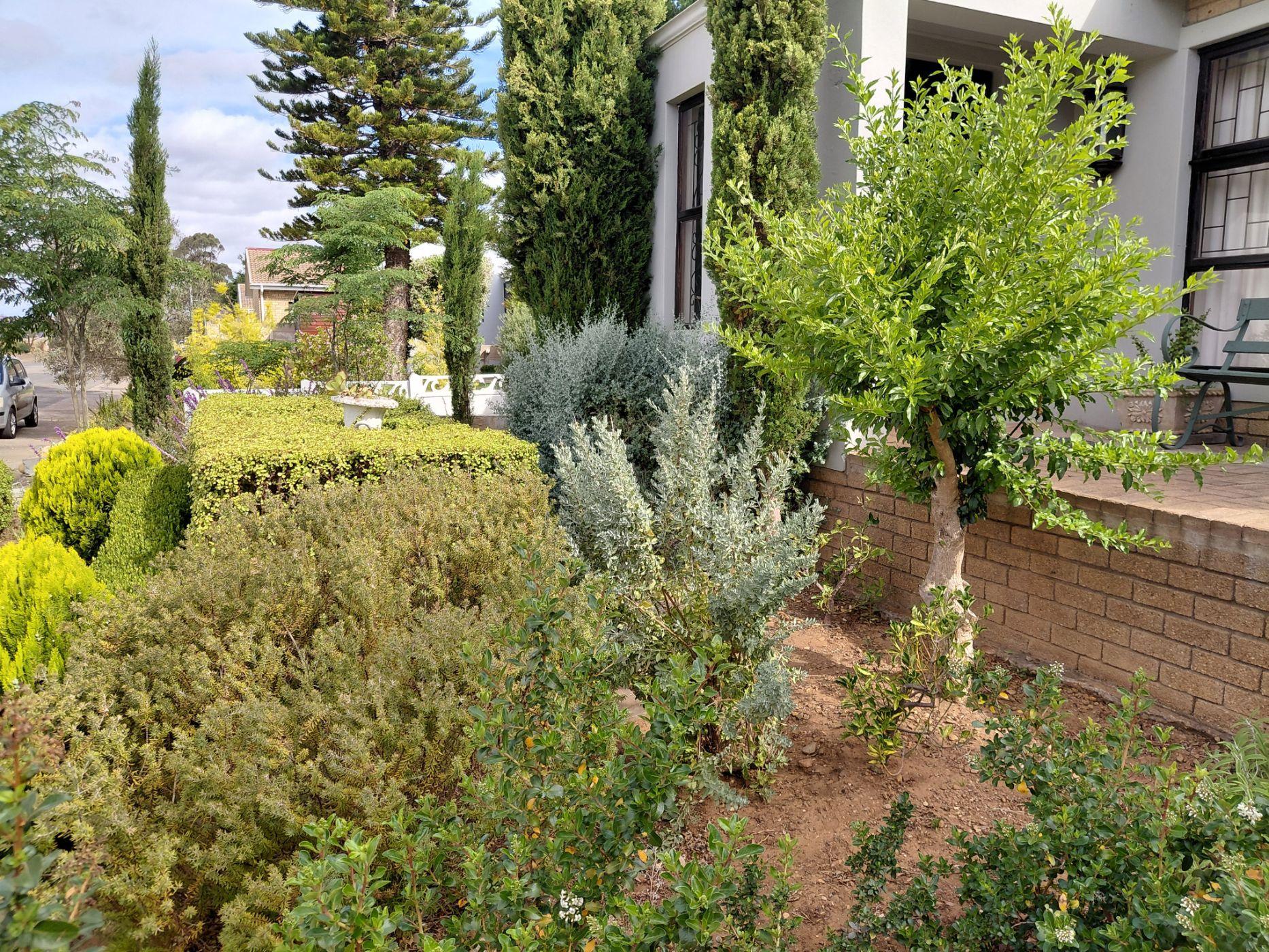 Image 3 of 6
