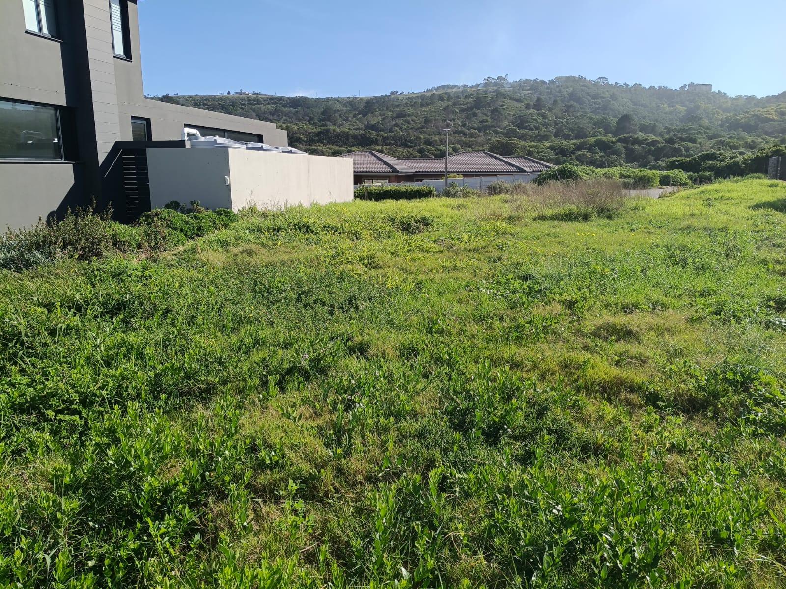 Image 3 of 6