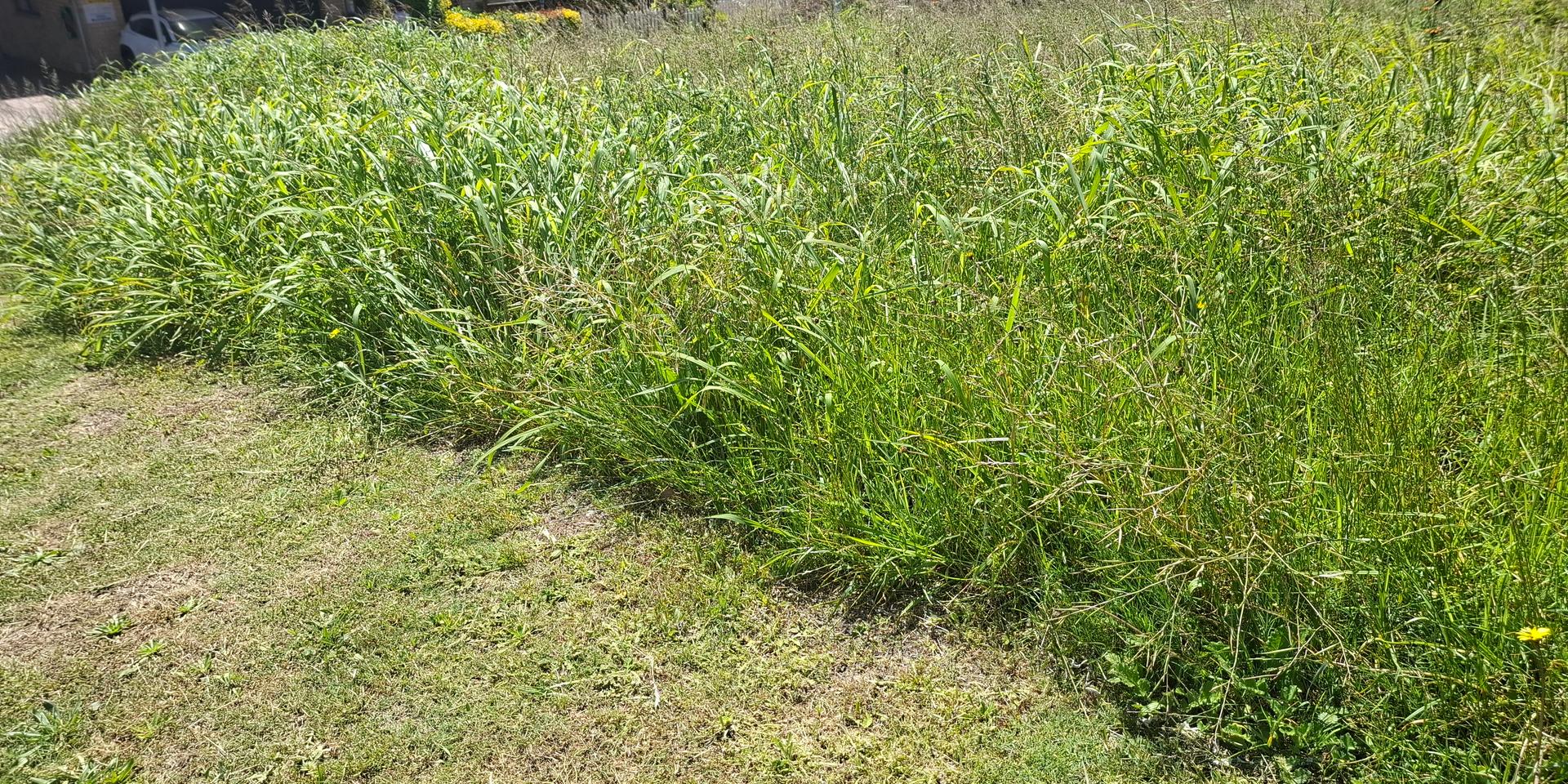 Image 3 of 6