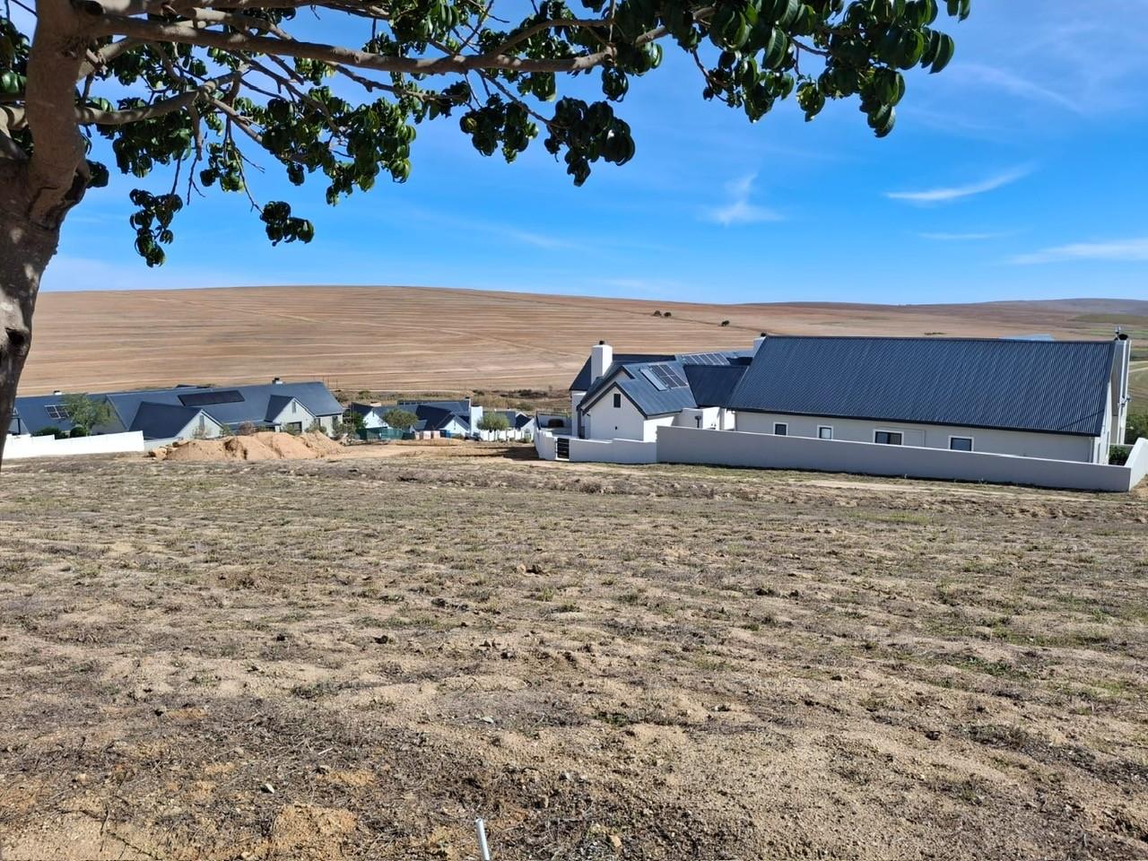 Image 4 of 6