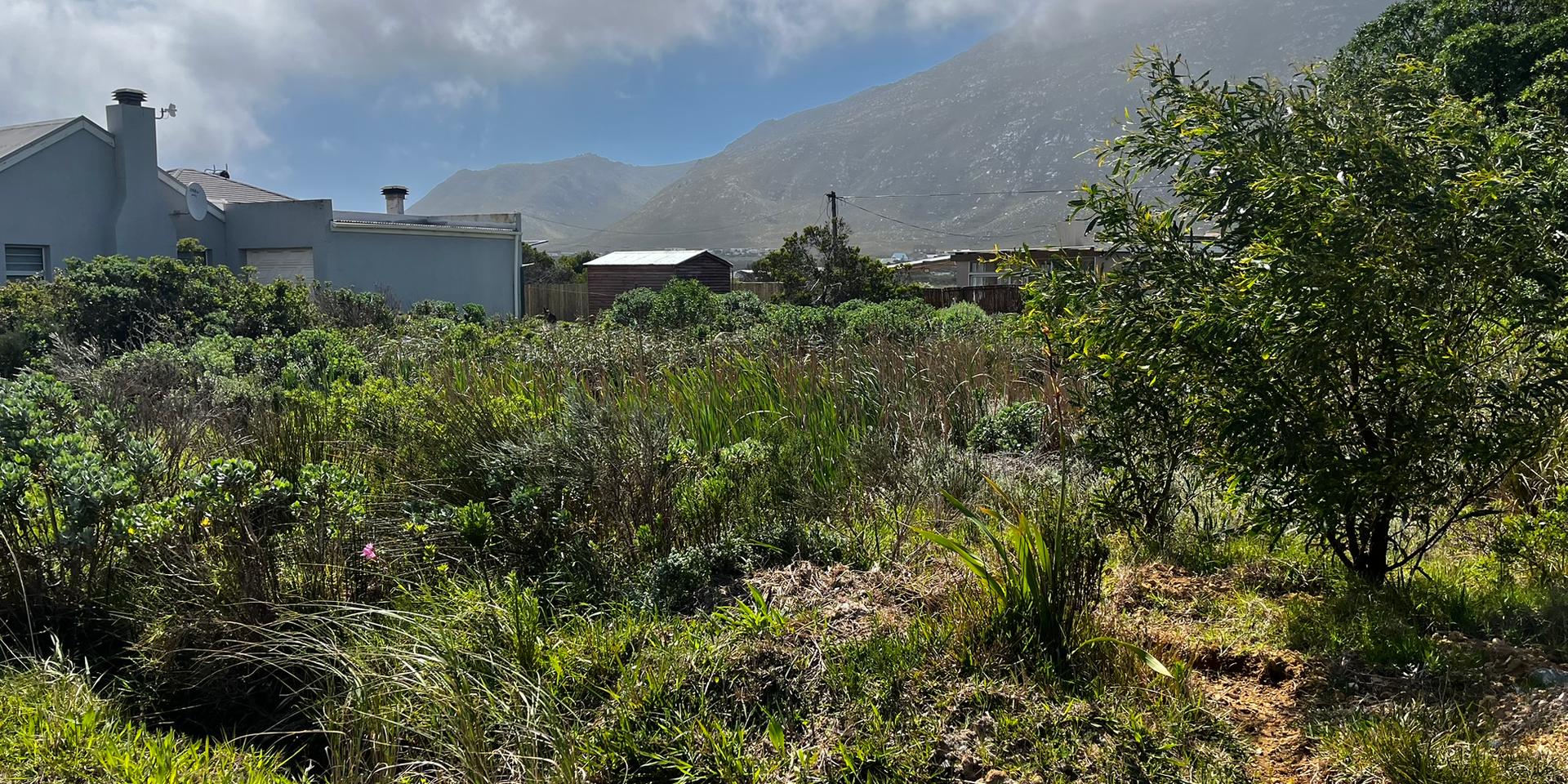 Image 4 of 6