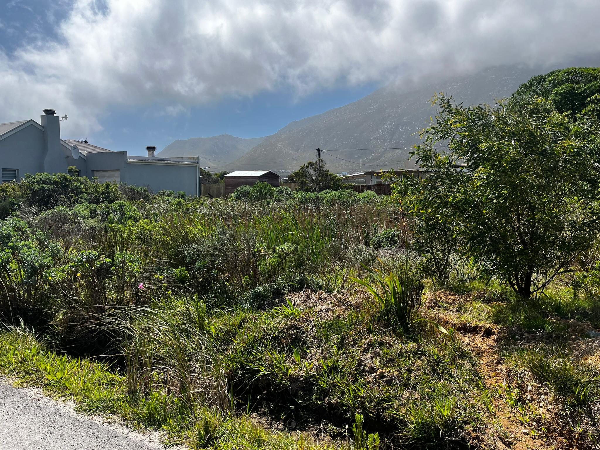 Image 4 of 6