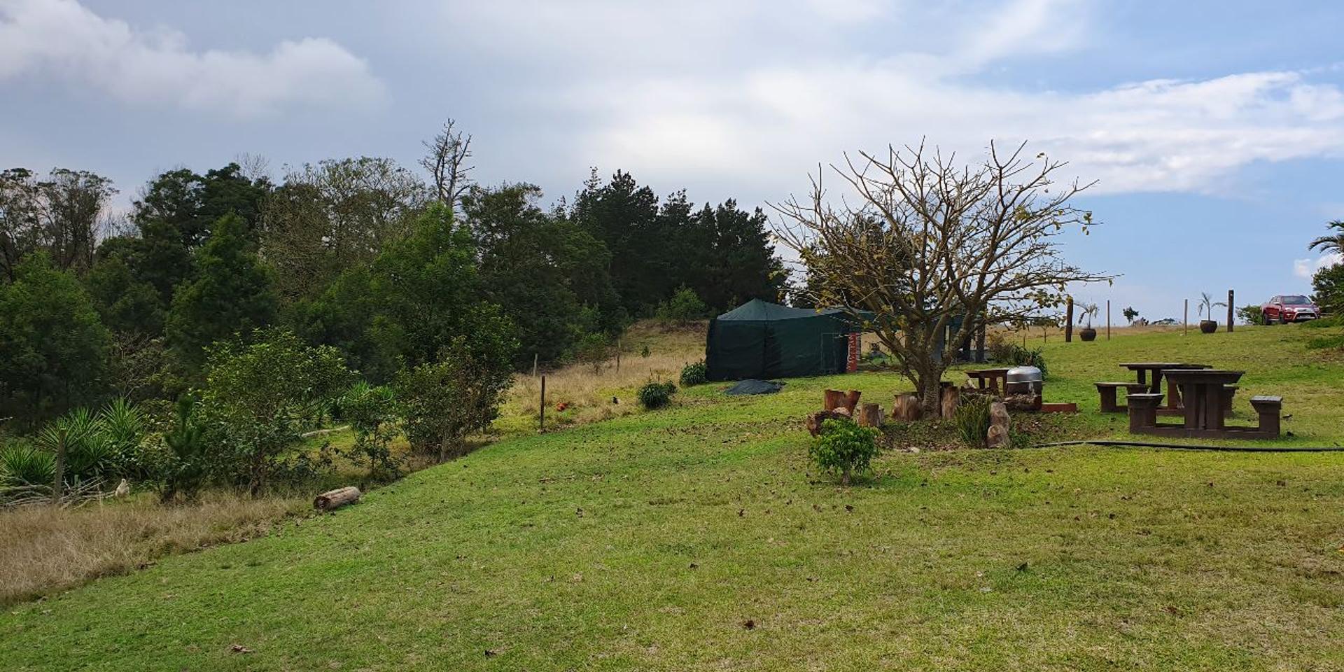 Image 2 of 6