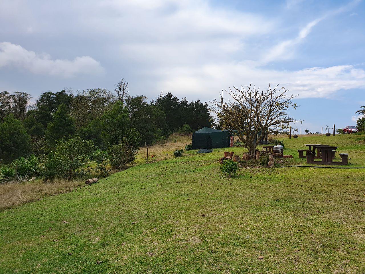 Image 2 of 6