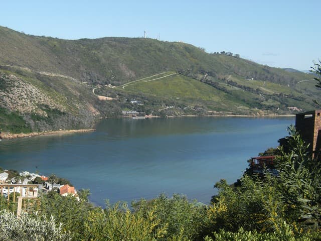 Image 13