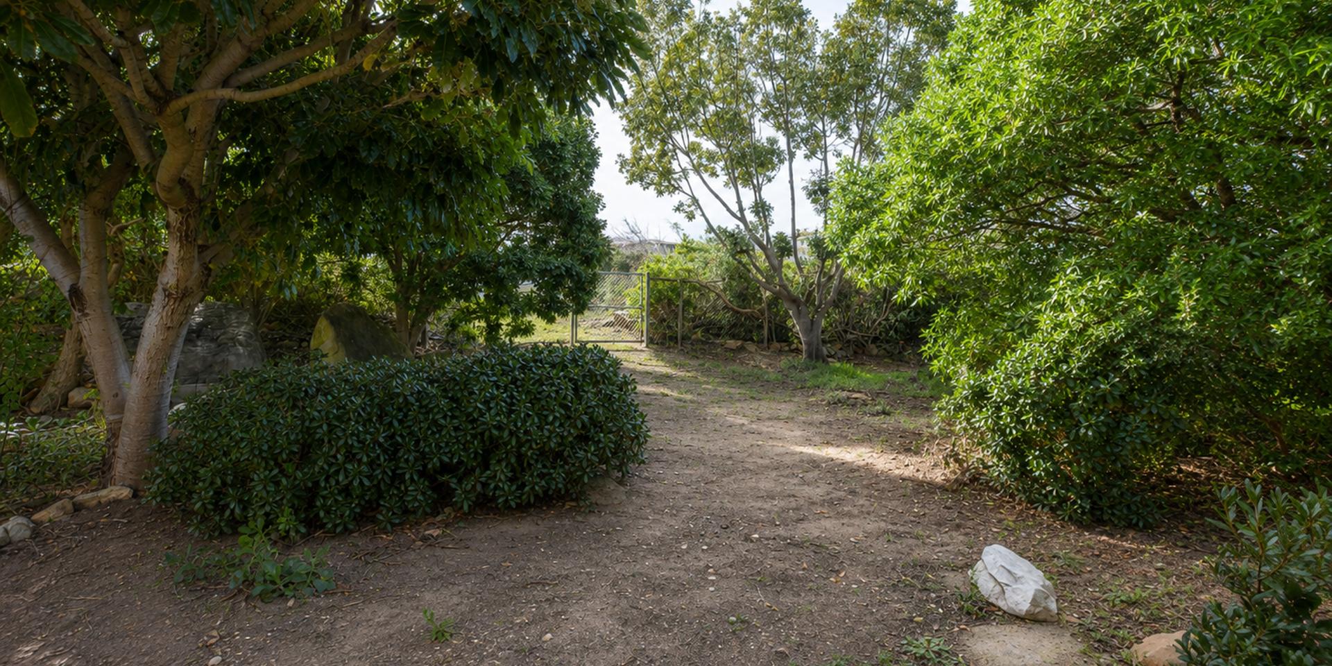 Image 2 of 6