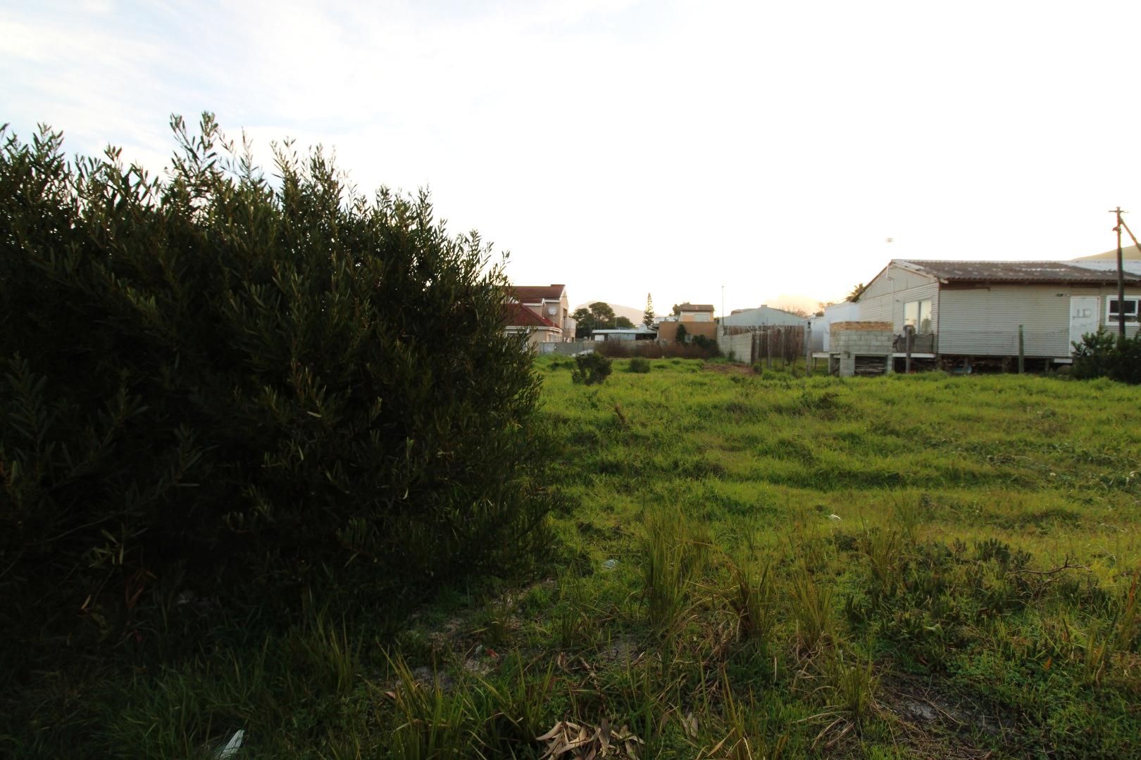 Image 12