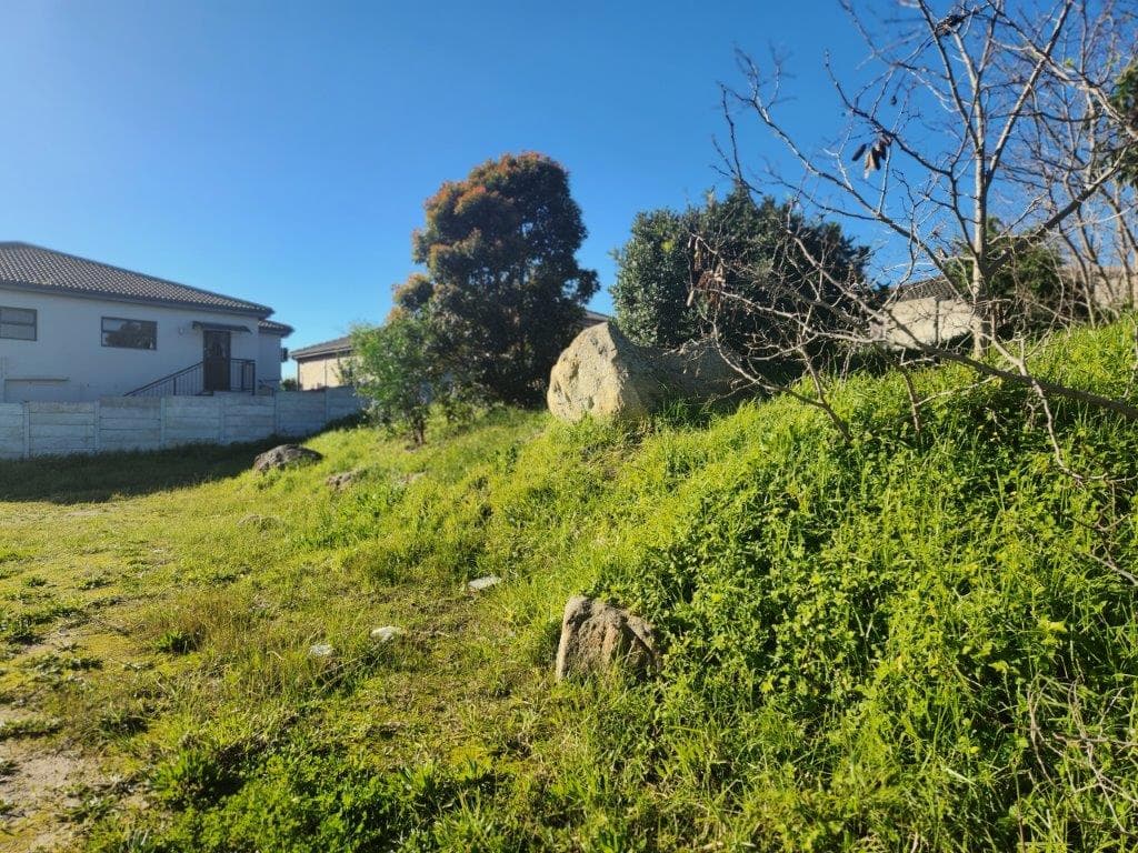 Image 4 of 6