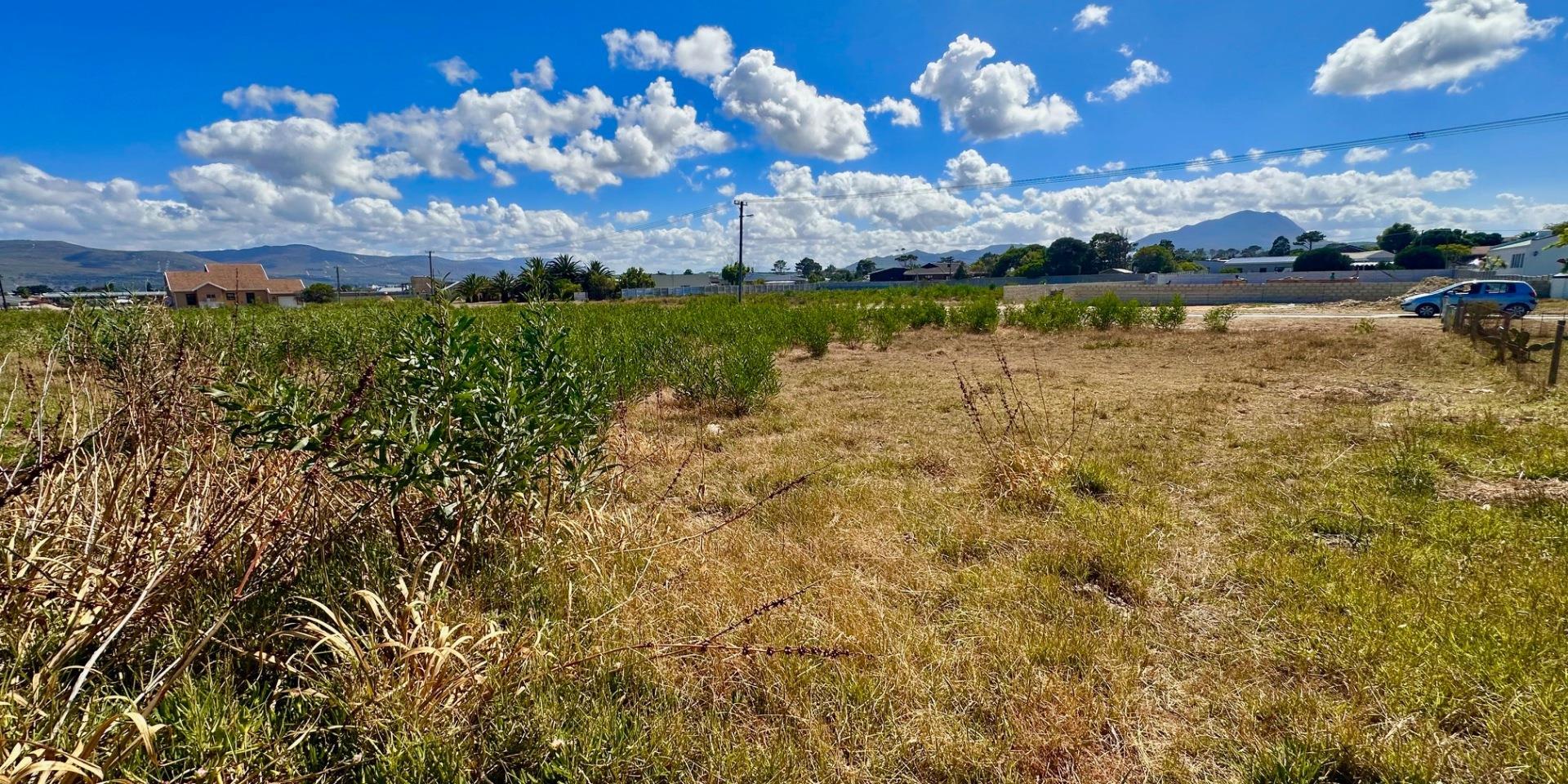 Image 5 of 6