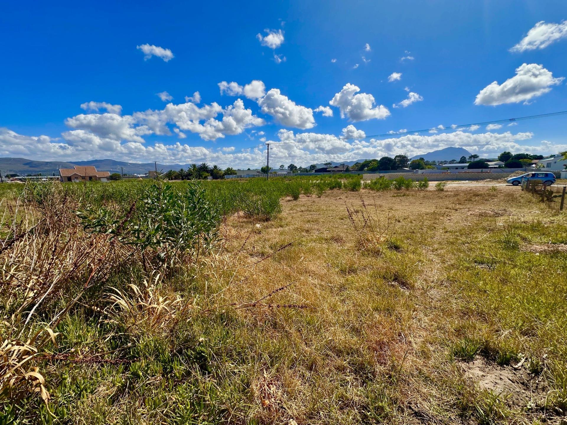 Image 5 of 6