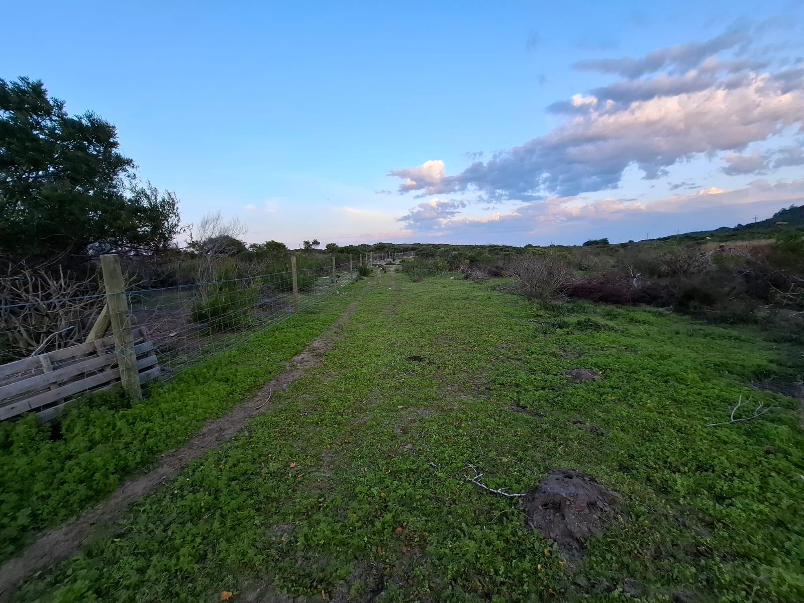 Image 50