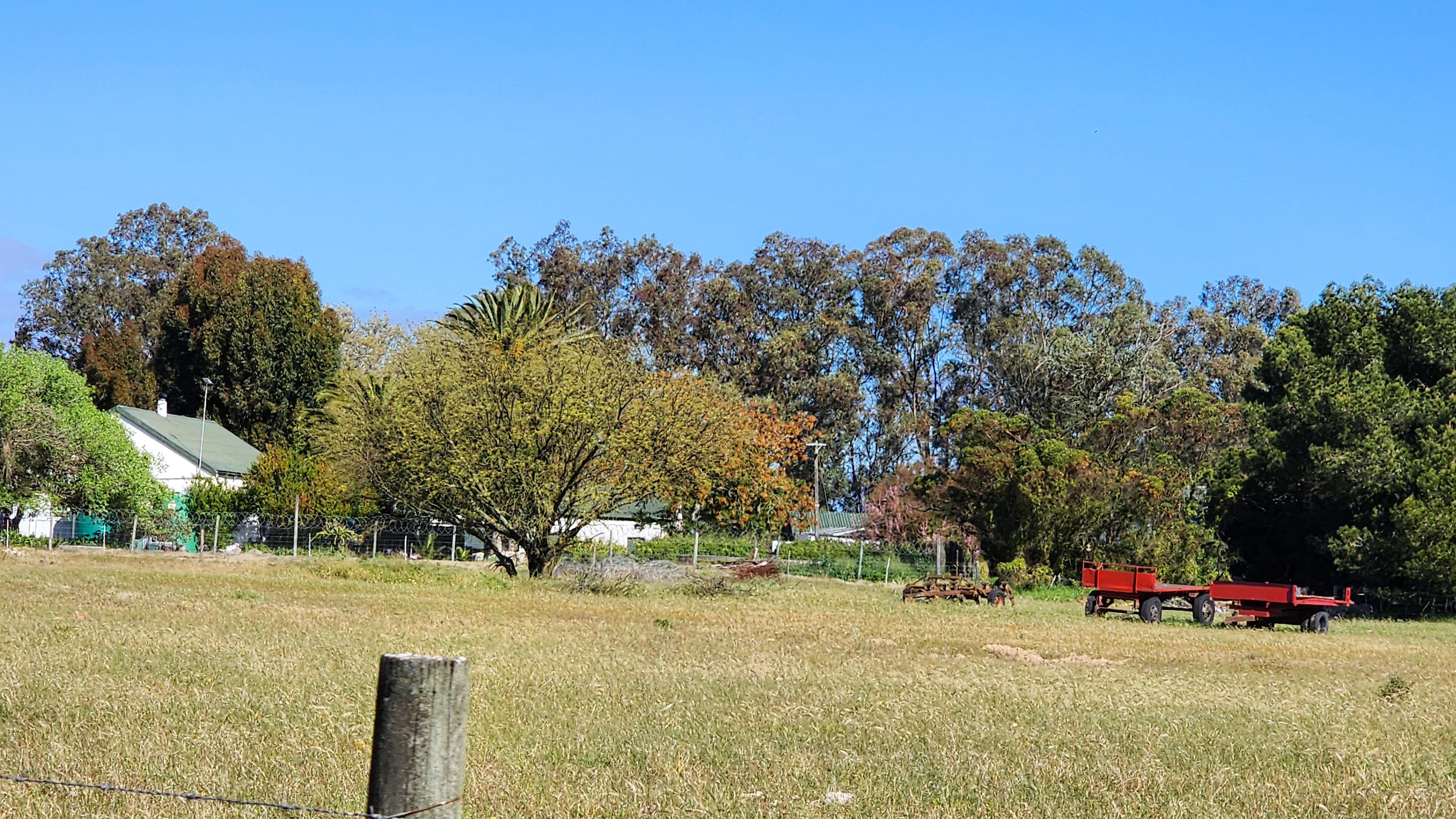 Image 12