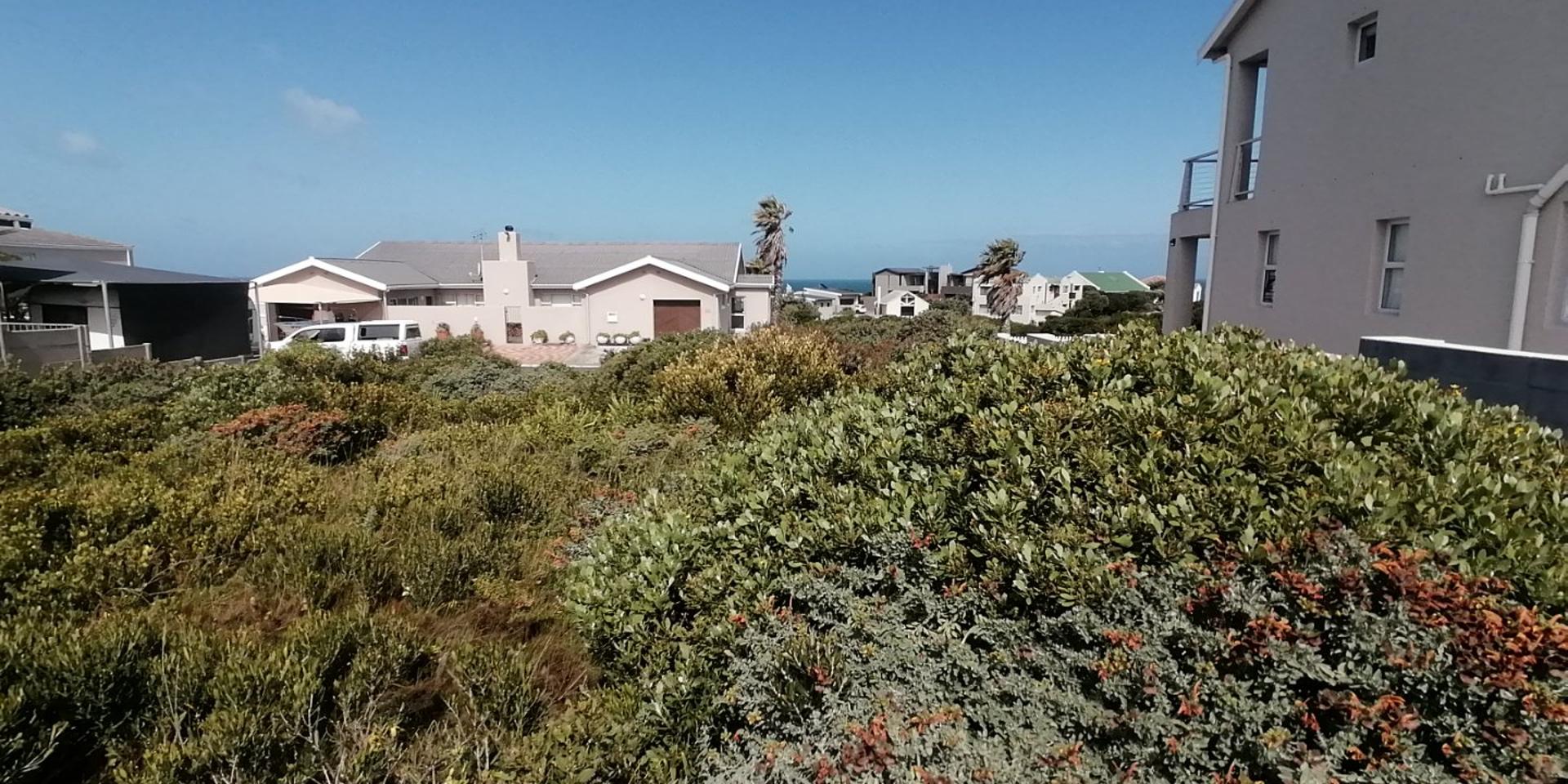 Image 4 of 6
