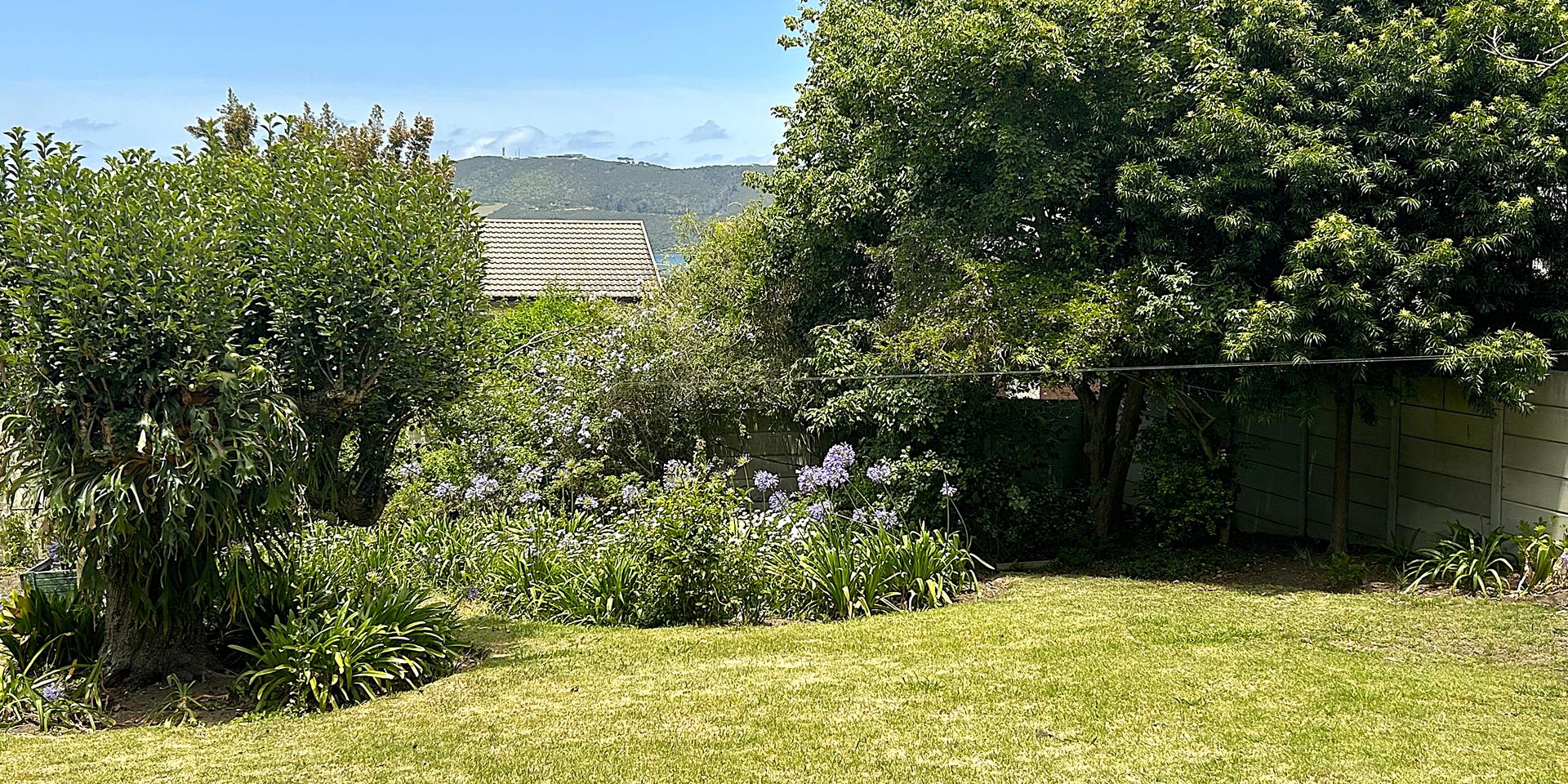 Image 3 of 6
