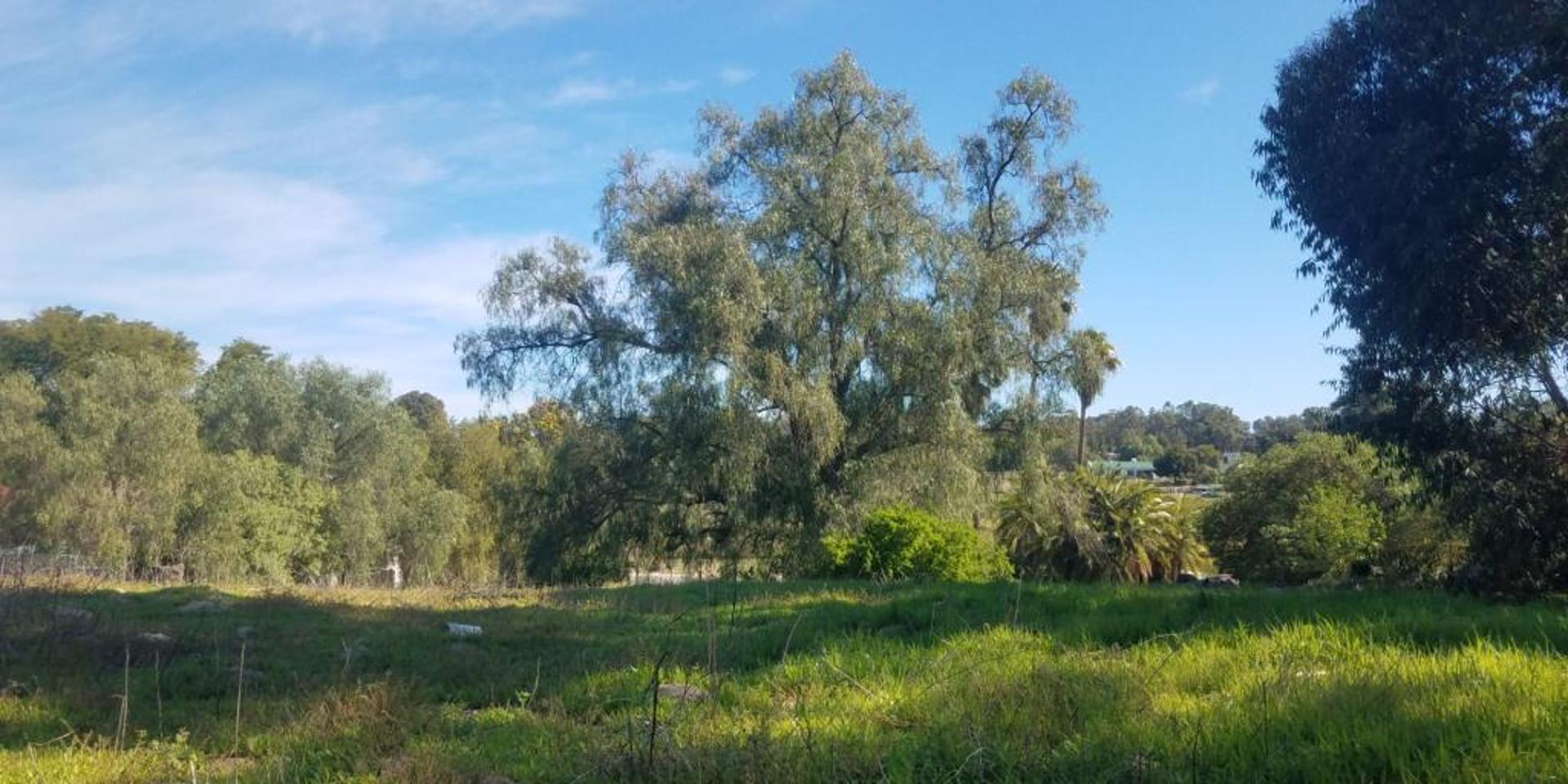 Image 4 of 6