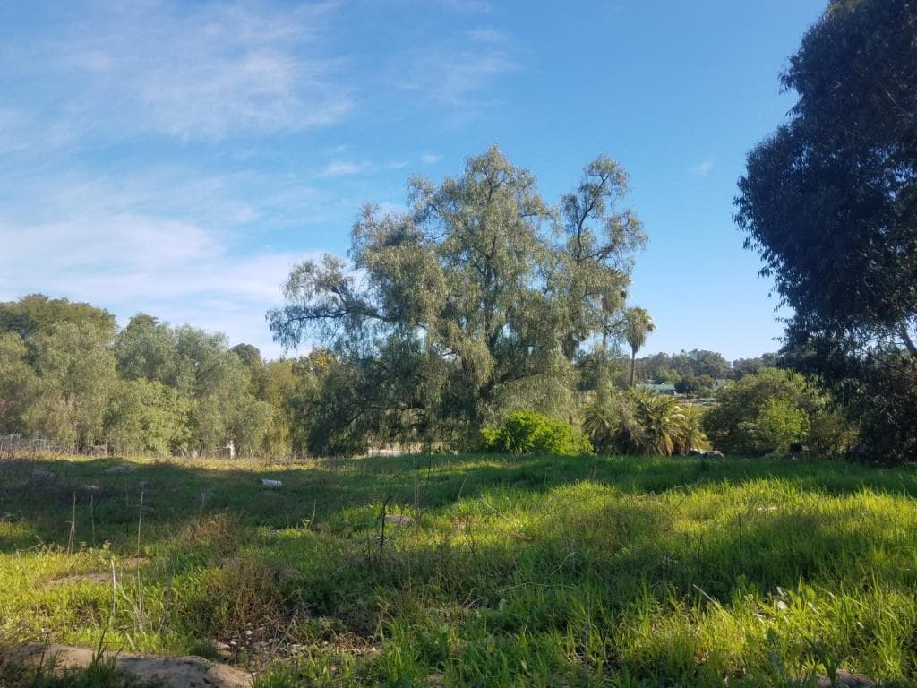 Image 4 of 6