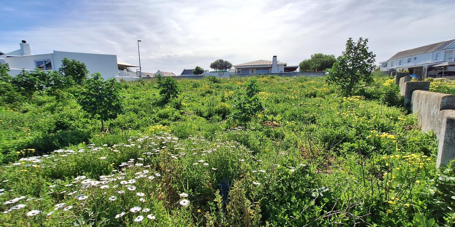 Image 5 of 6