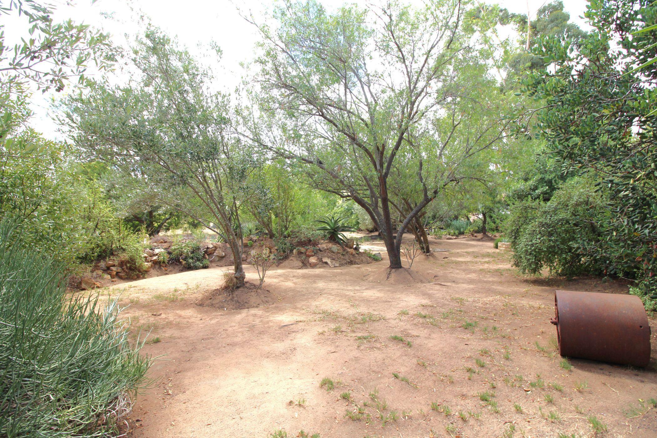 Image 38