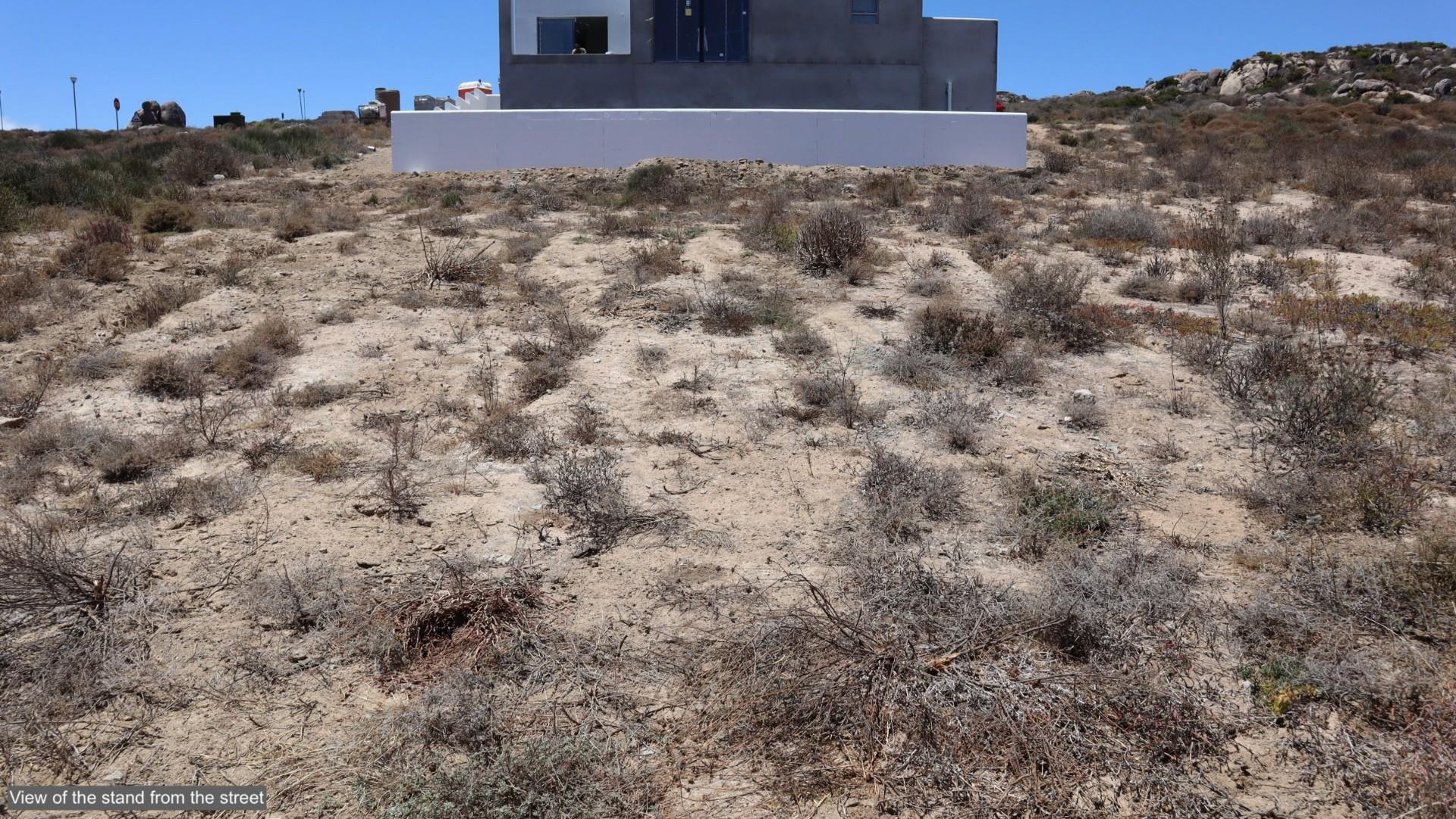 Image 3 of 6