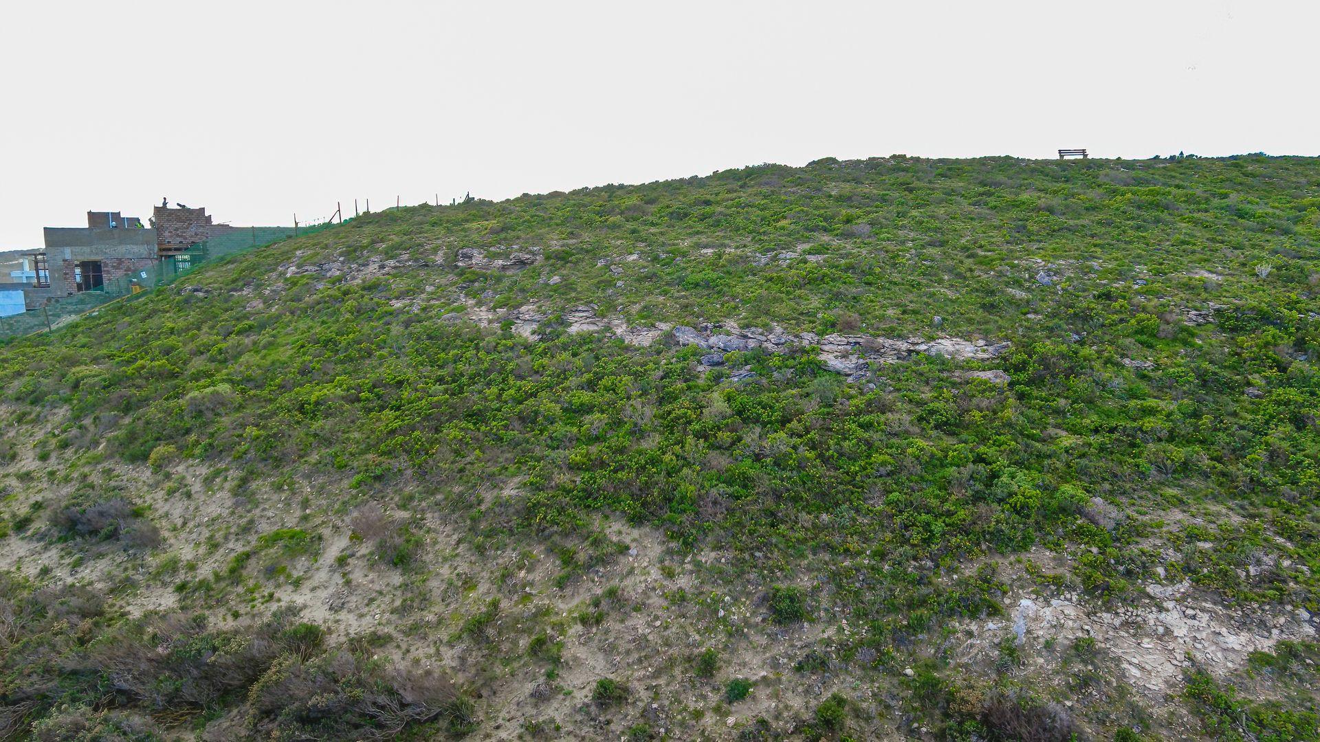 Image 4 of 6