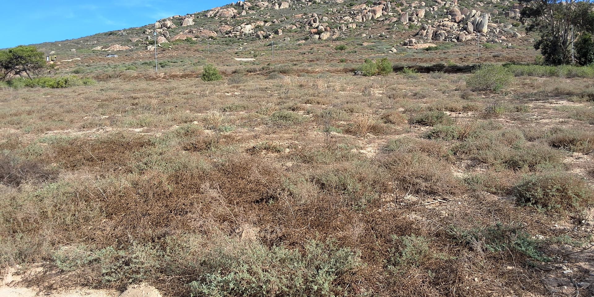 Image 4 of 6