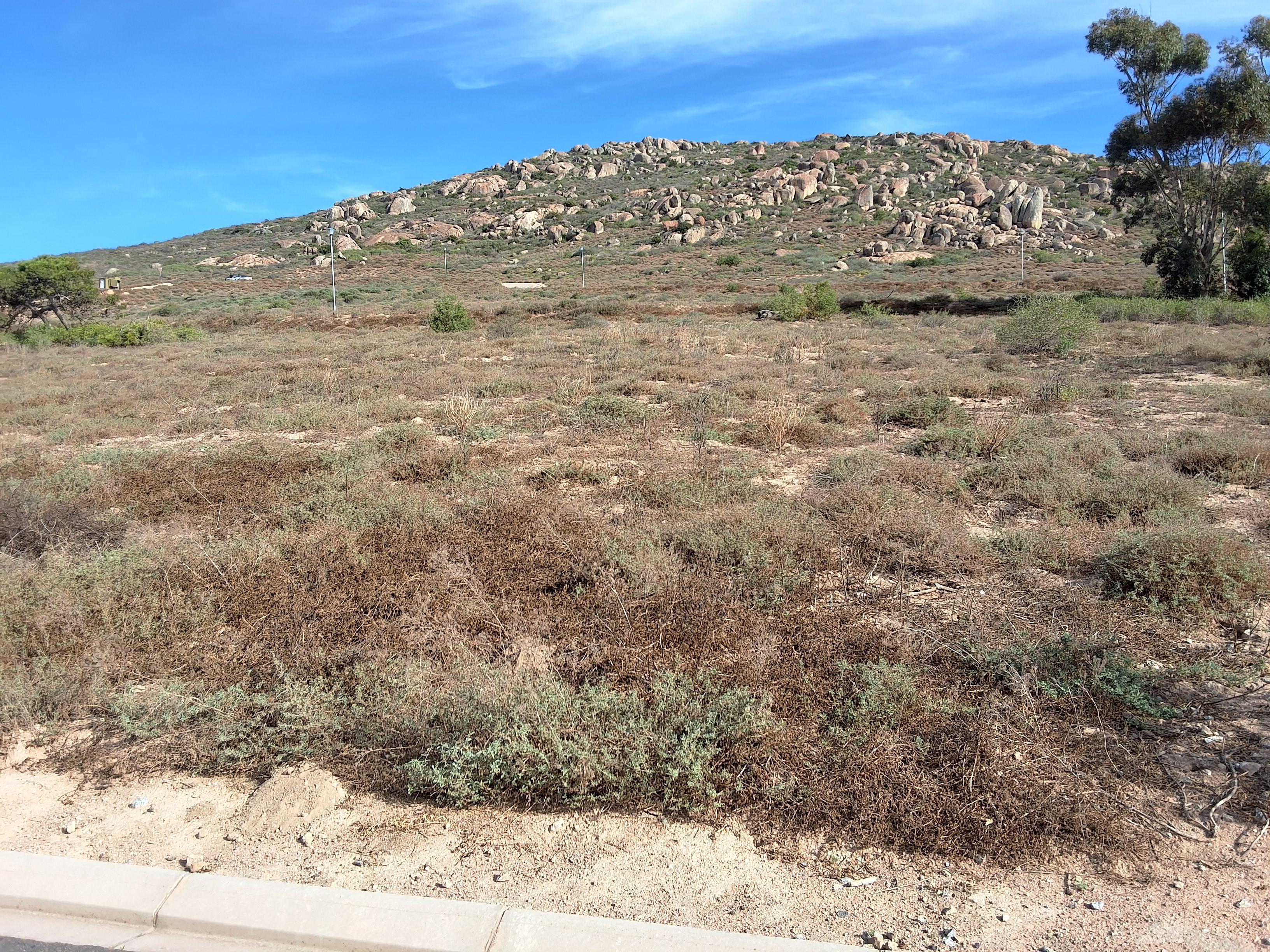 Image 4 of 6