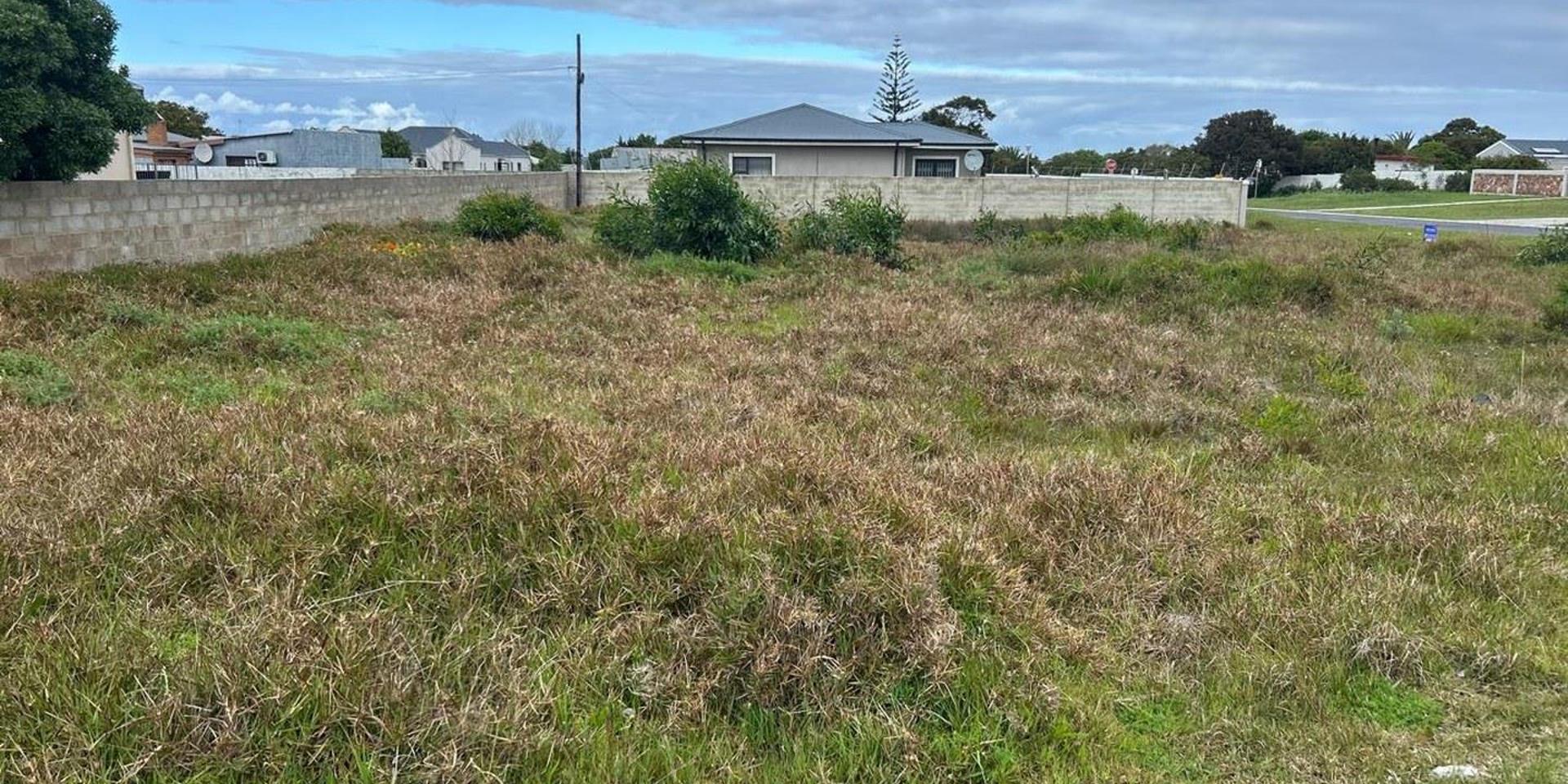 Image 3 of 6