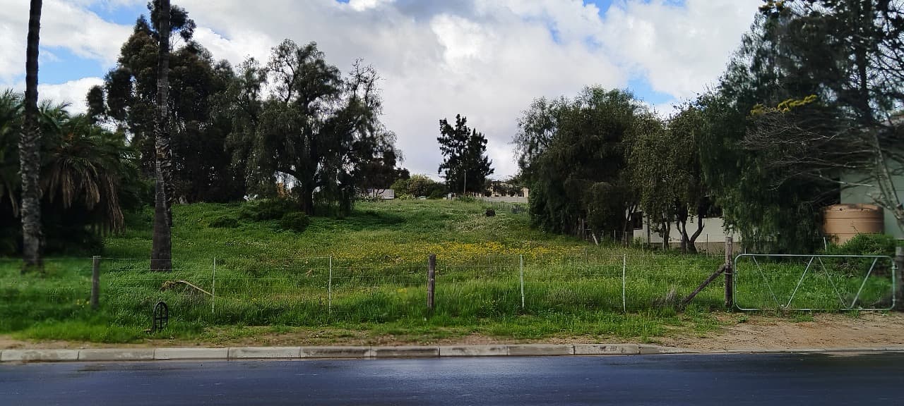 Image 14