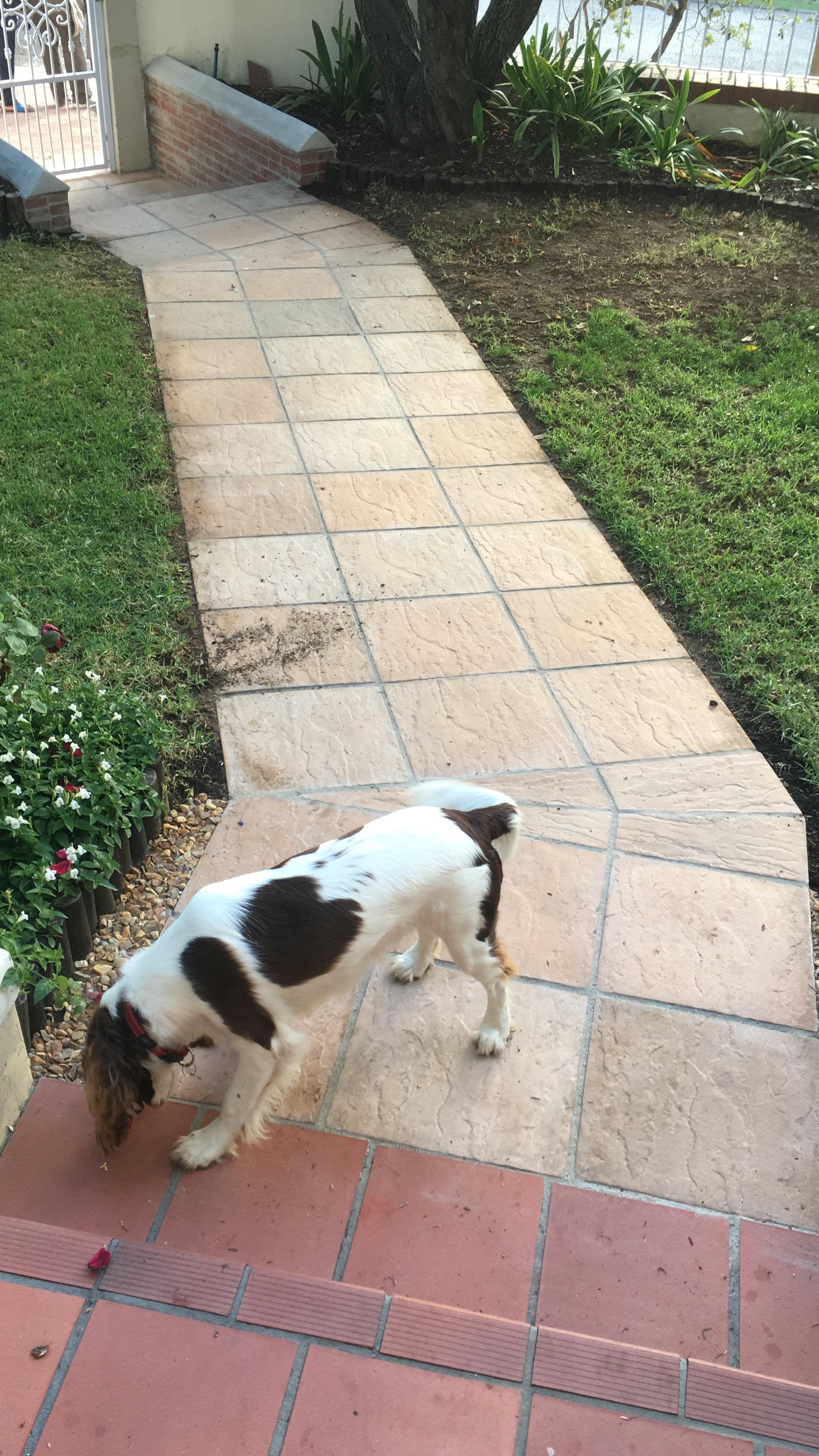 Image 80