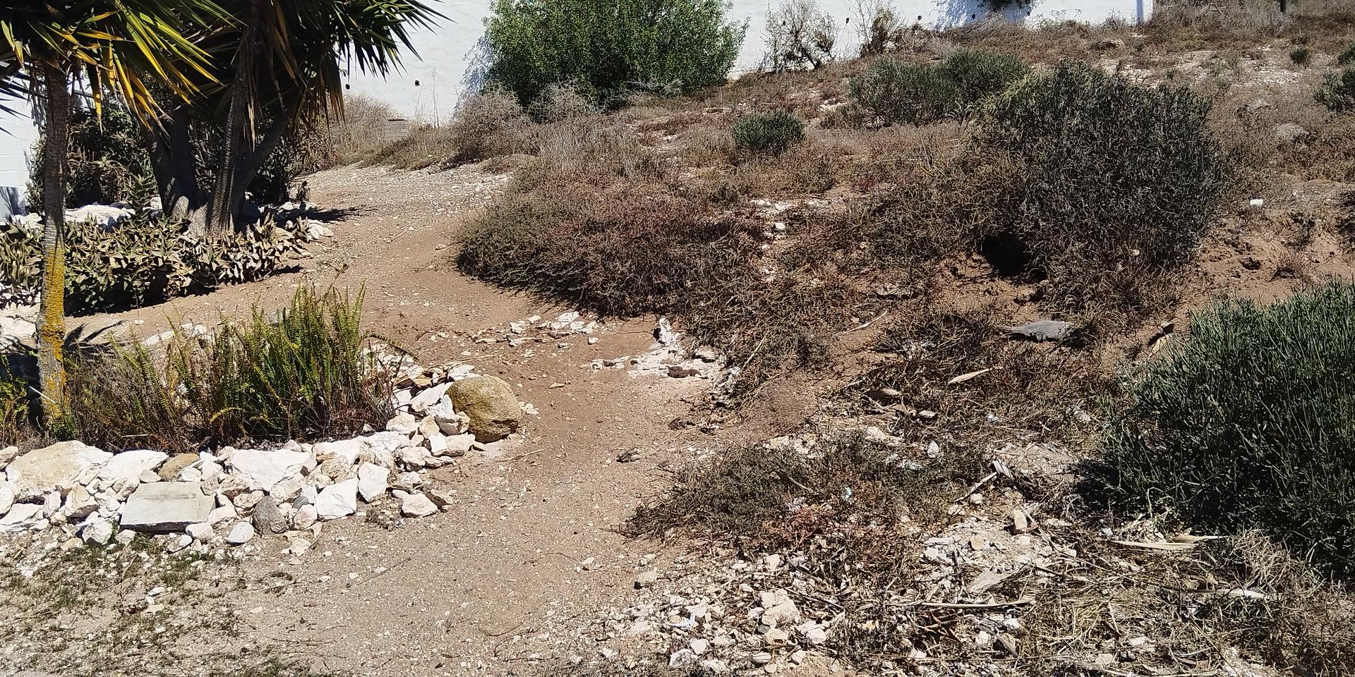 Image 3 of 6
