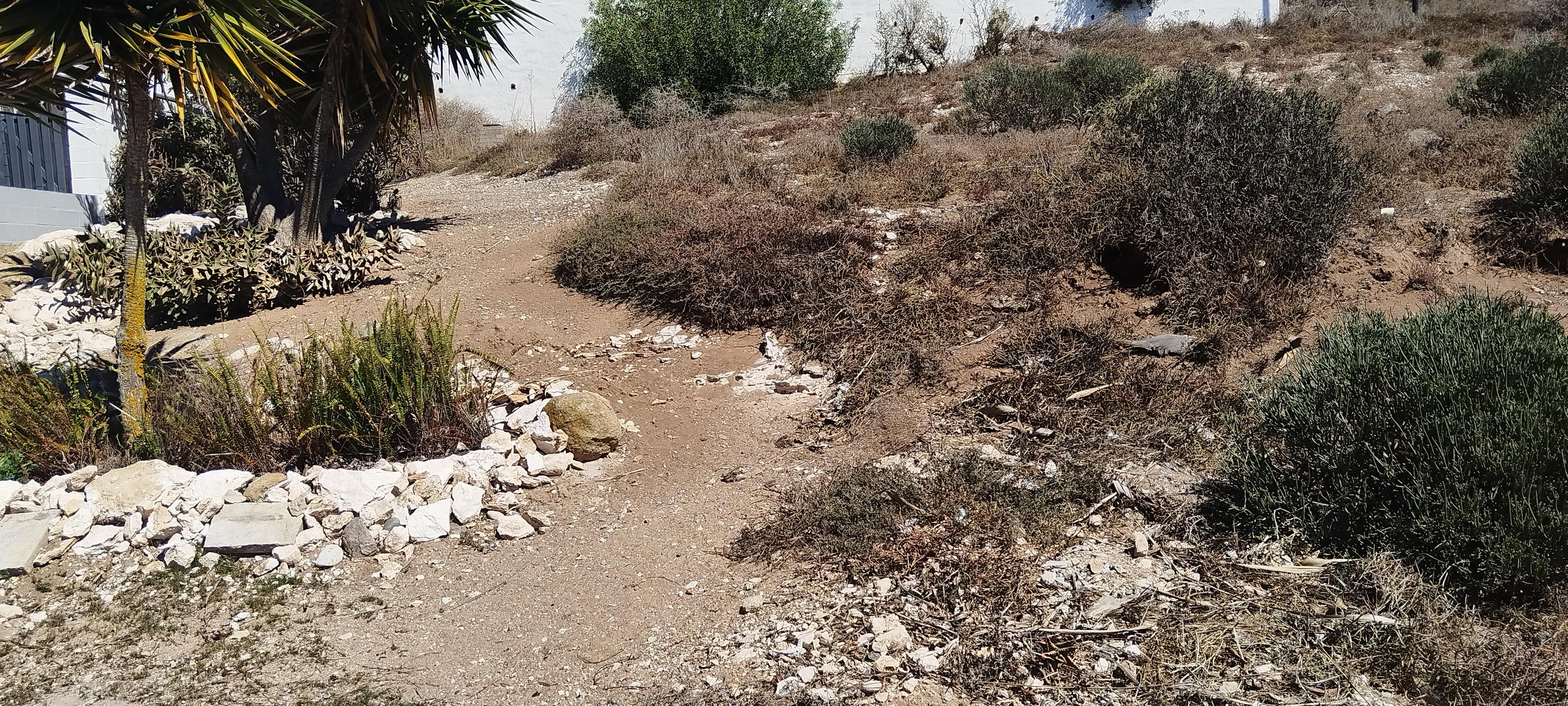 Image 3 of 6