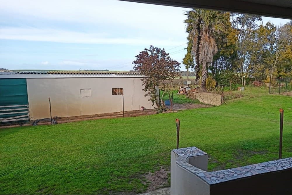 Image 30