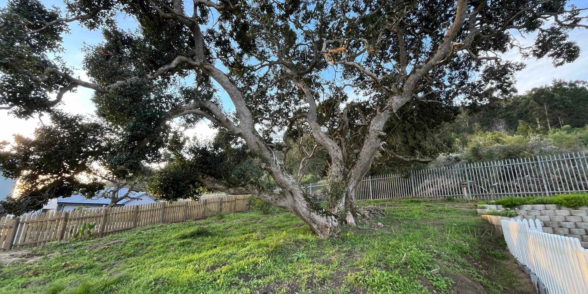 Image 4 of 6