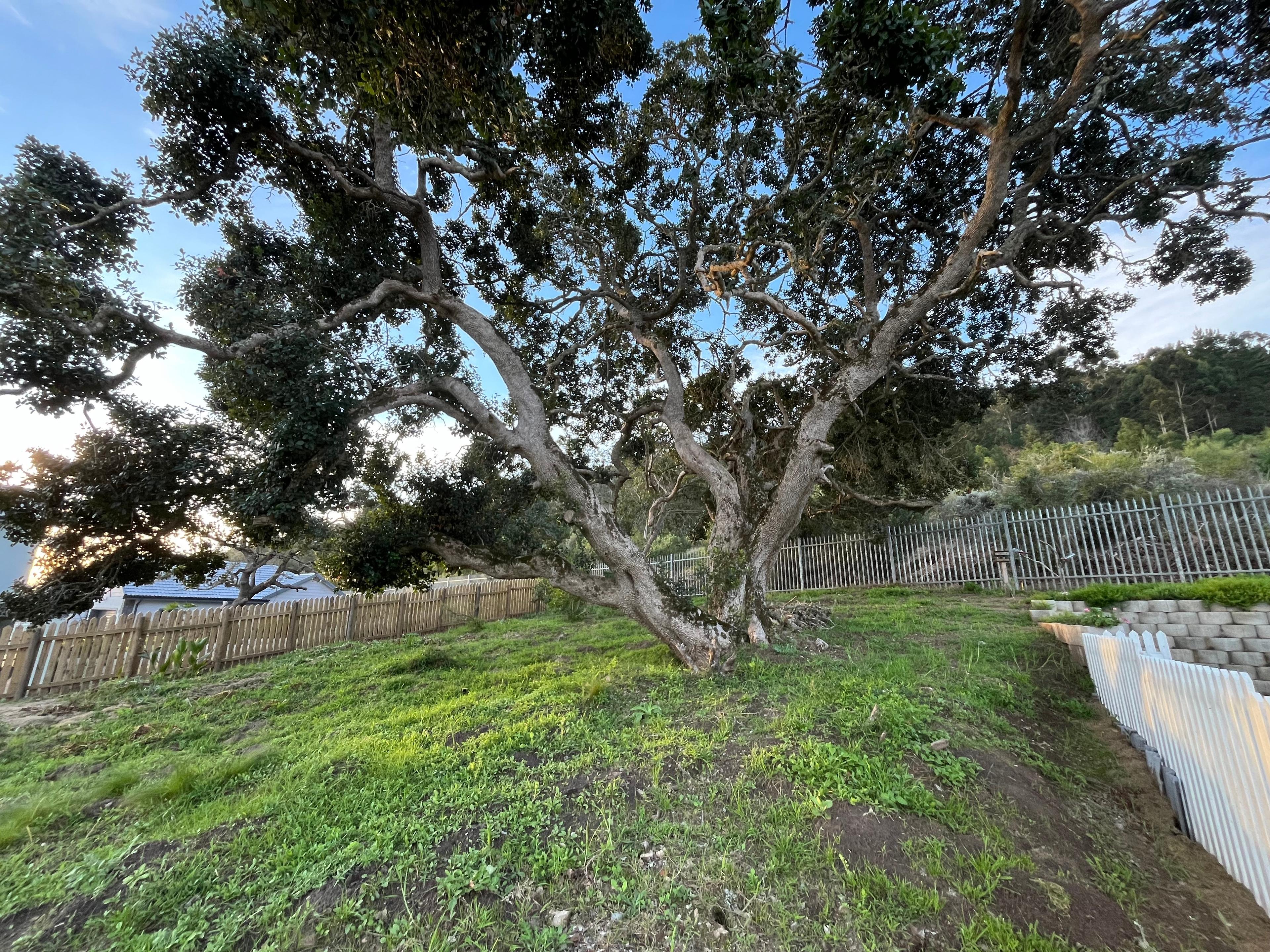 Image 4 of 6