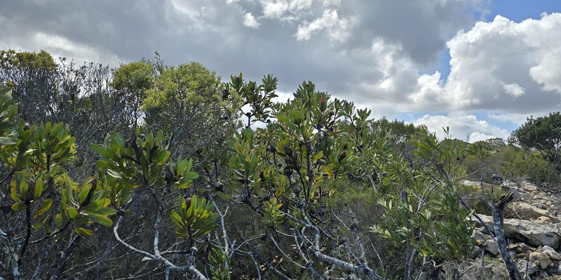 Image 5 of 6