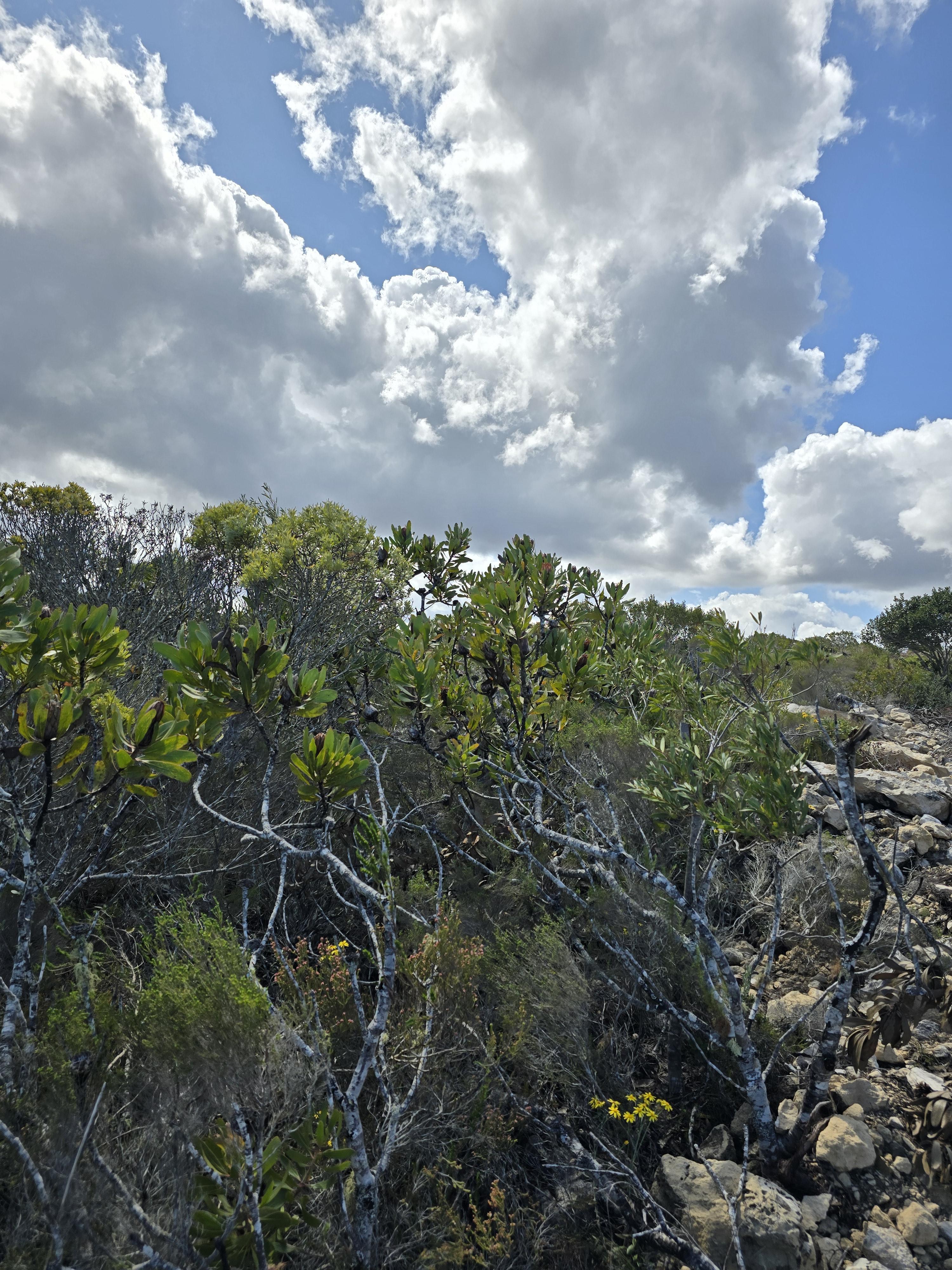 Image 5 of 6