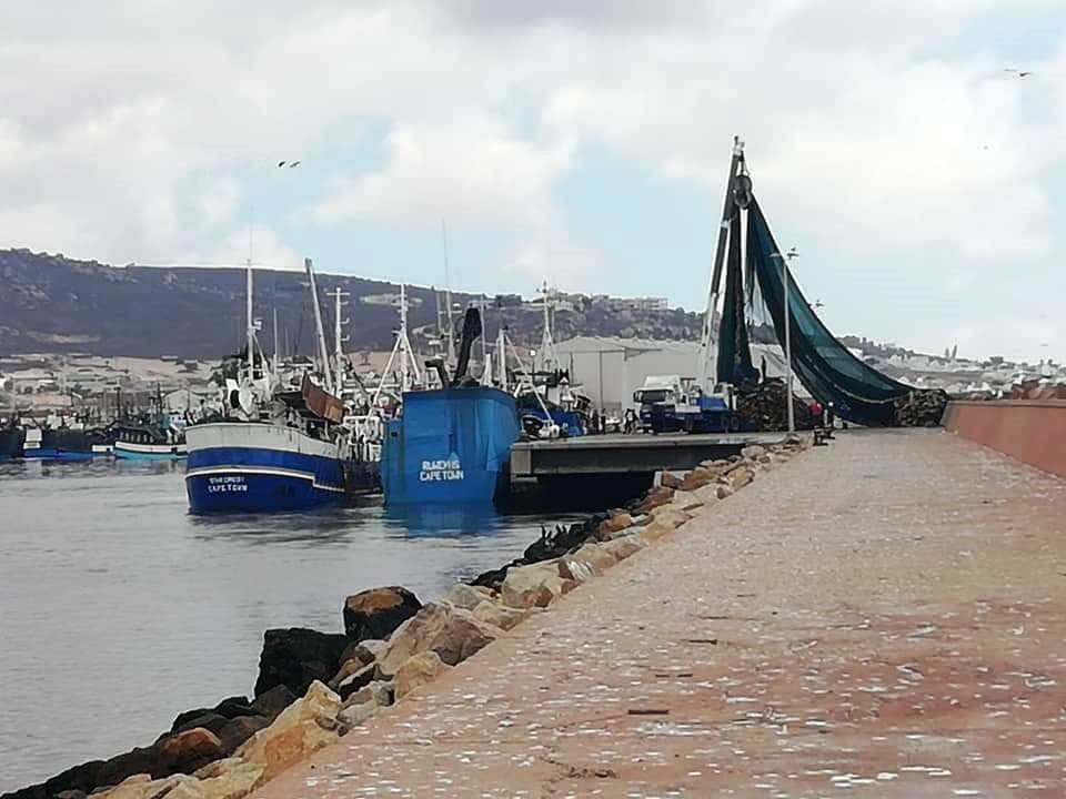 Image 12