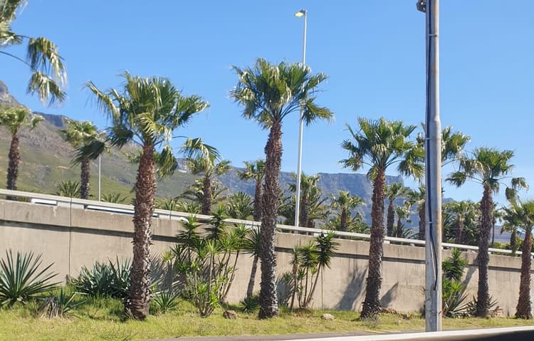 Main property image