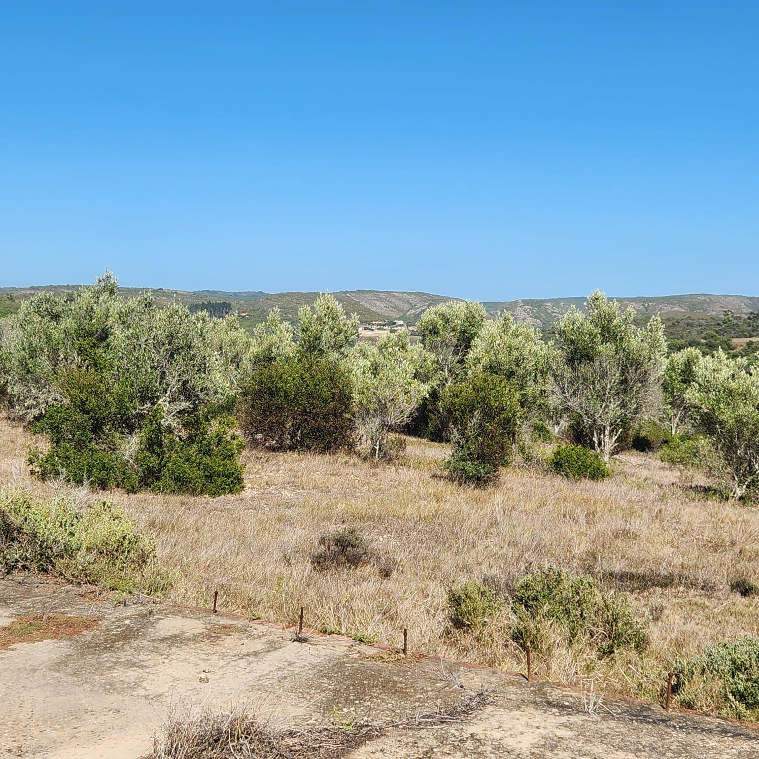 Image 35
