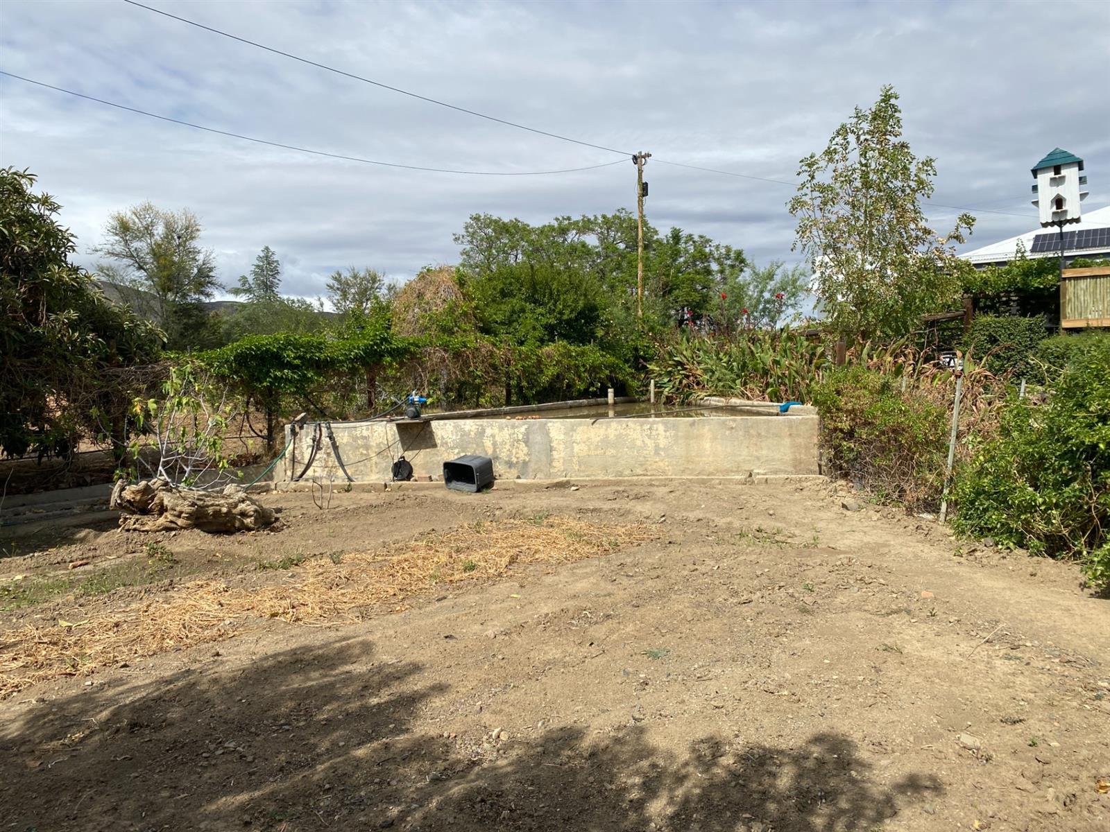Image 19