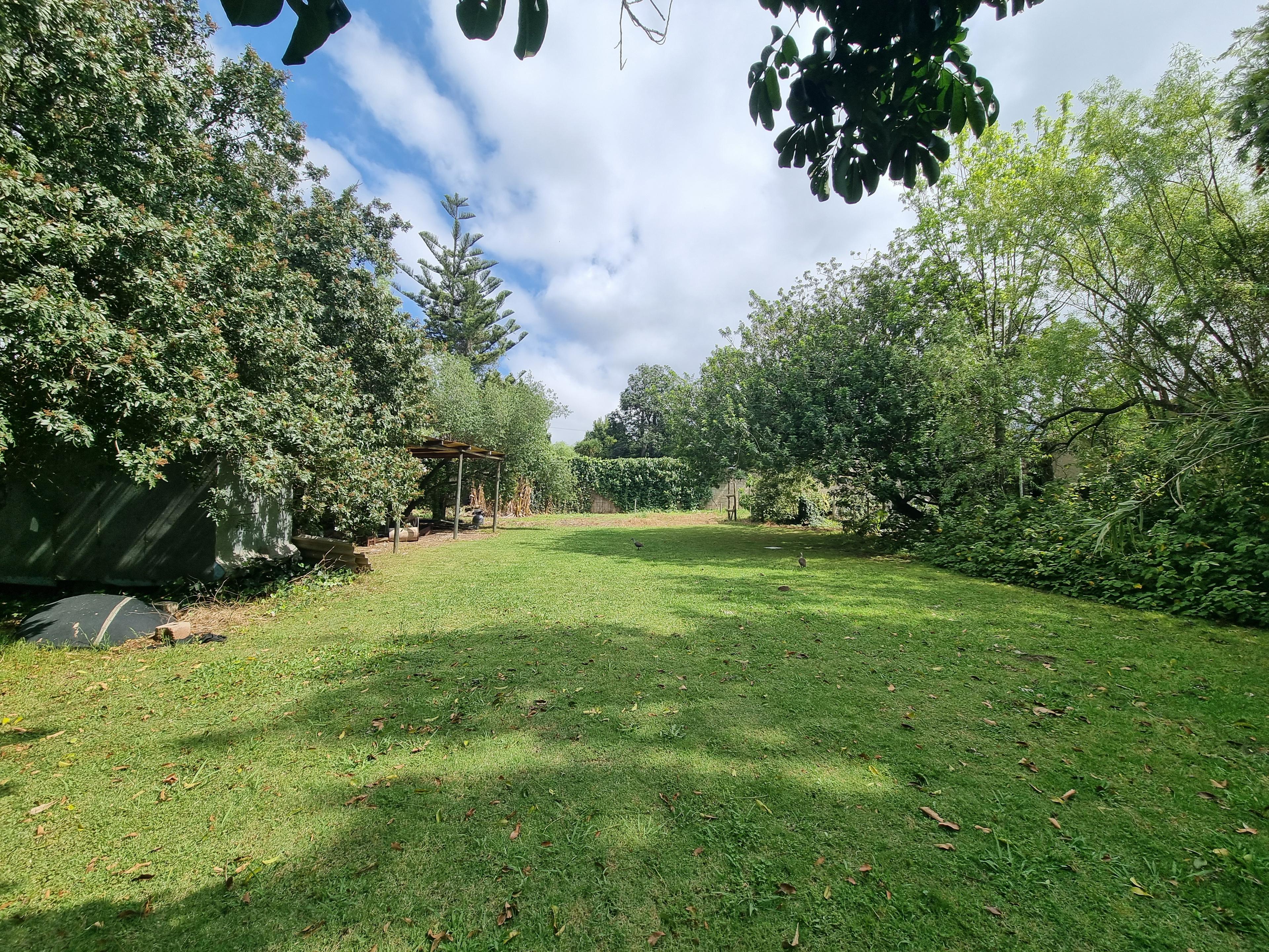 Image 22