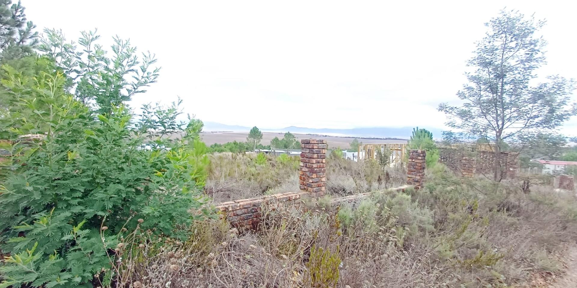 Image 4 of 6