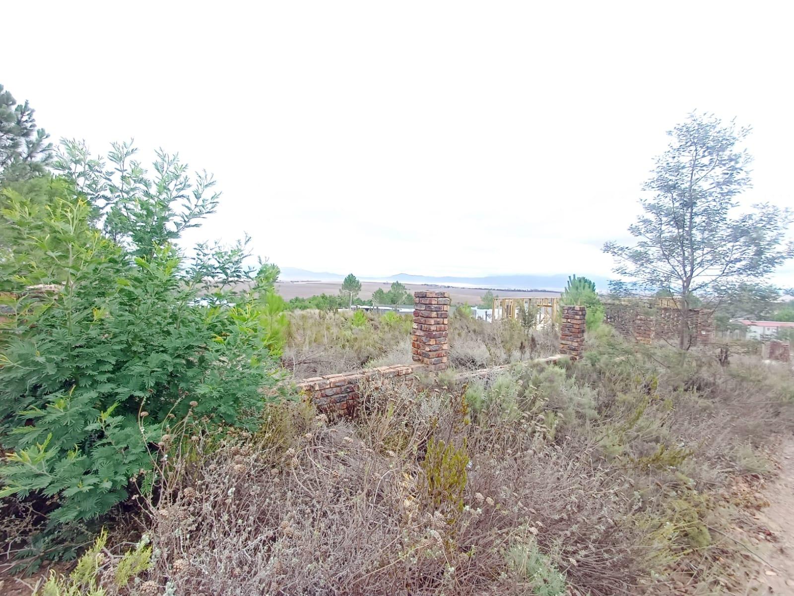 Image 4 of 6