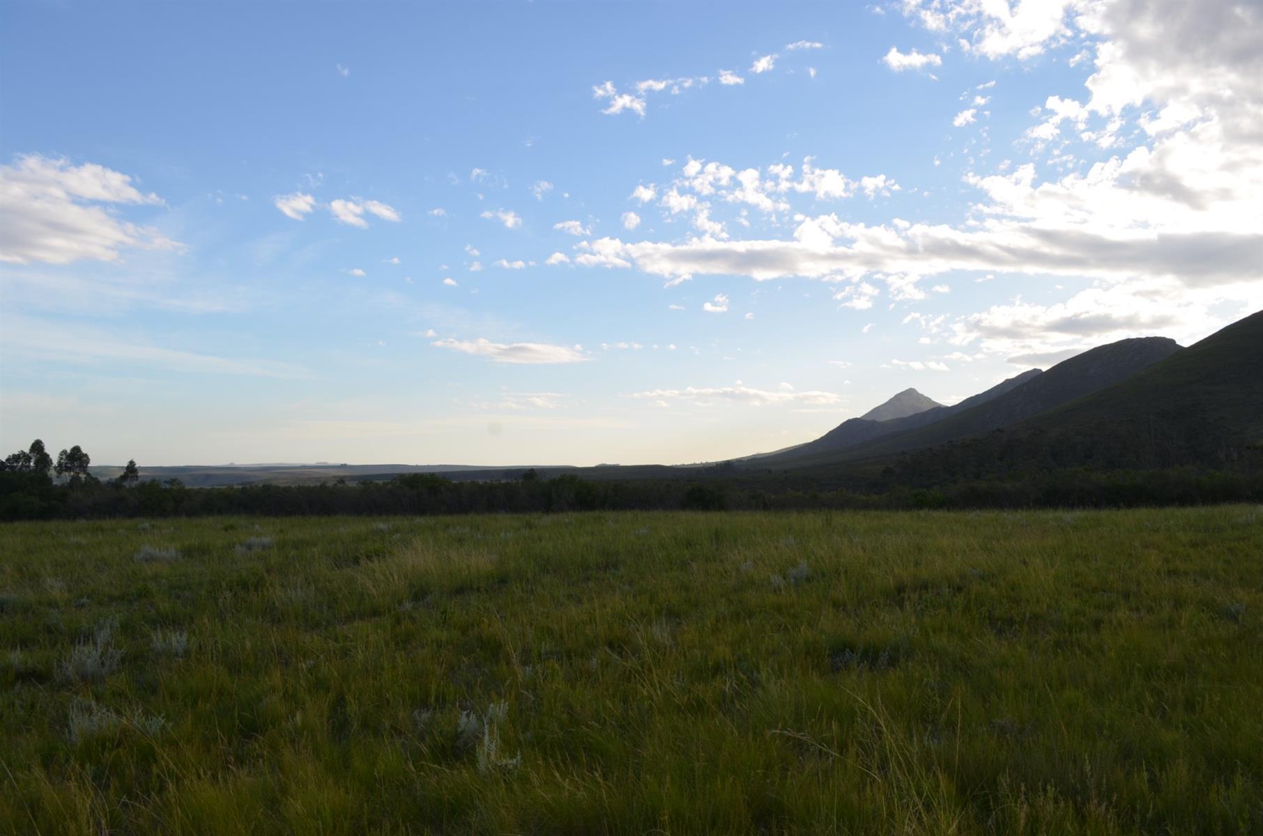 Image 65