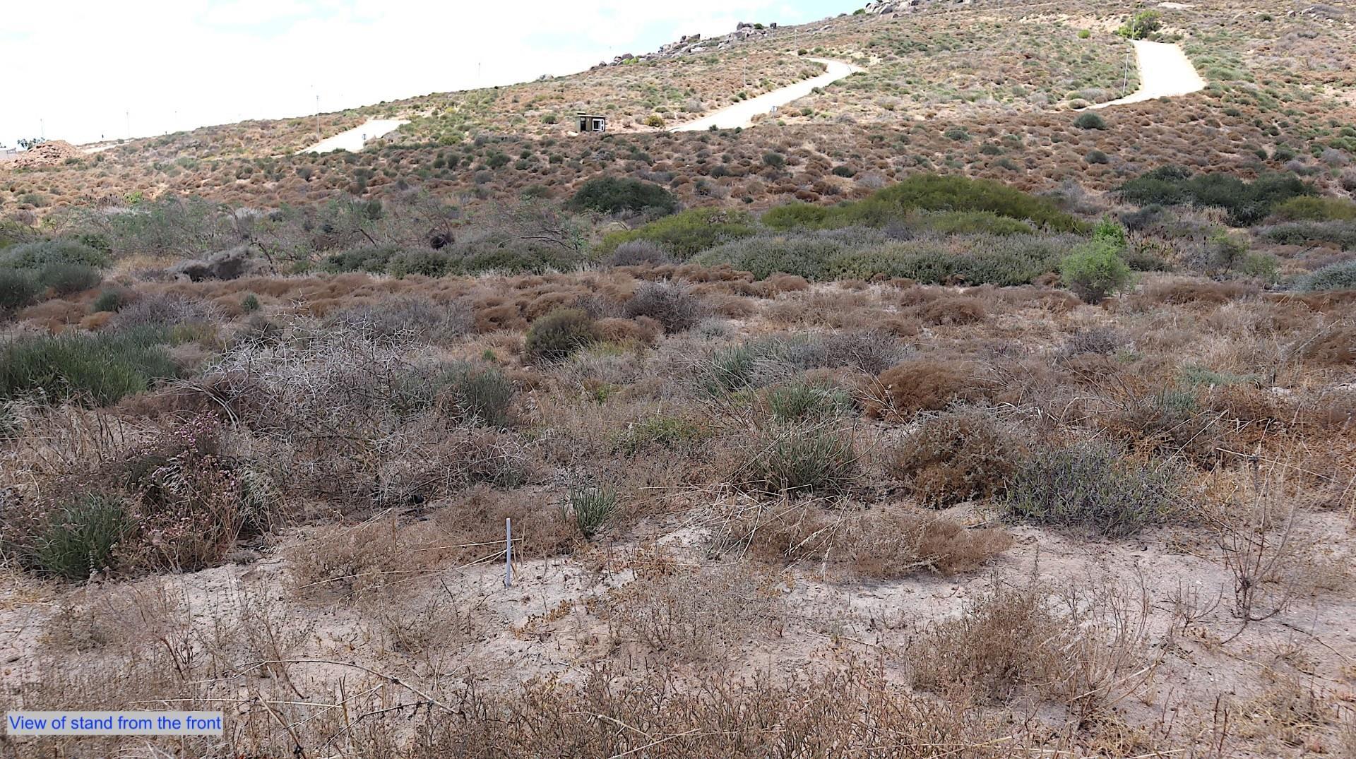 Image 3 of 6
