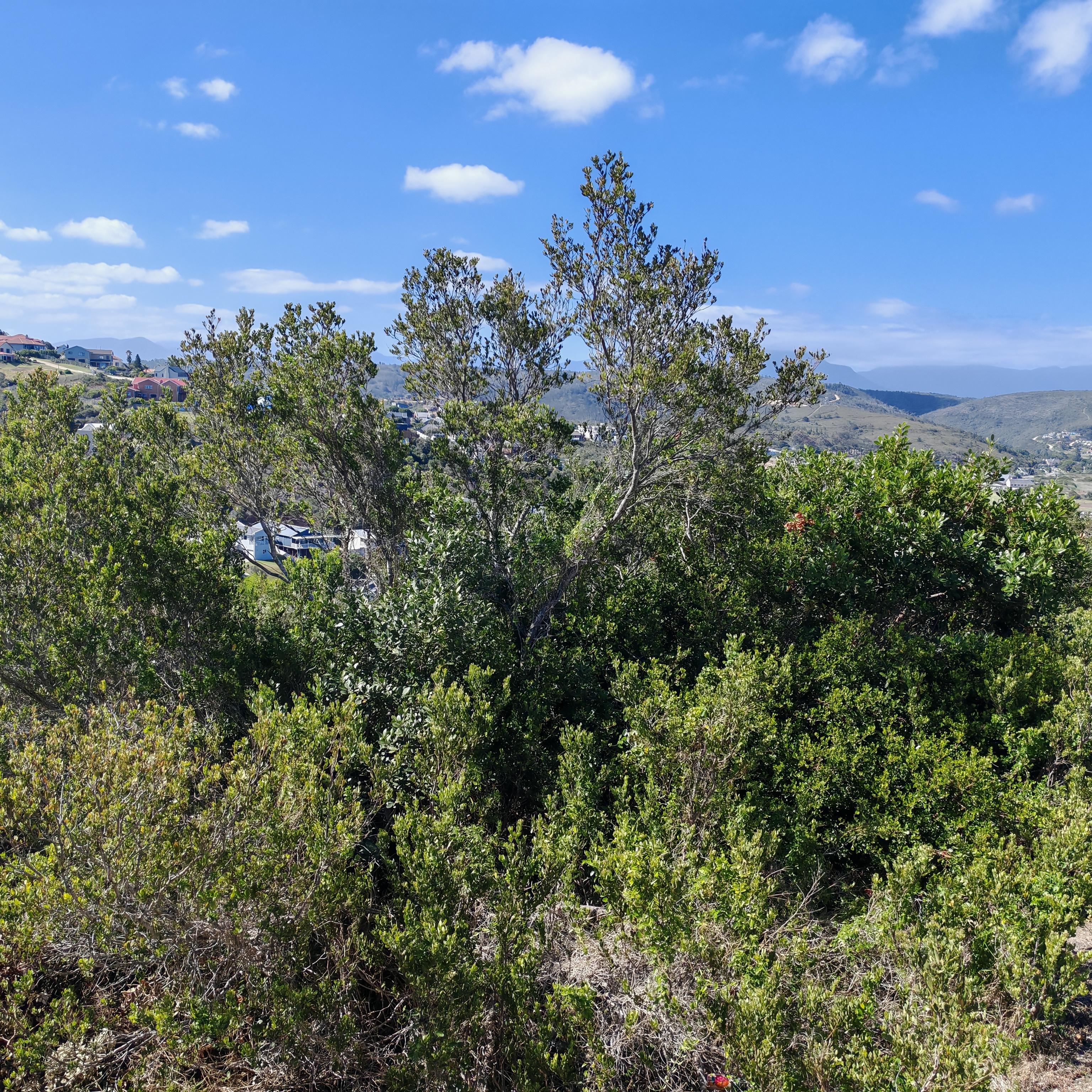Image 2 of 6
